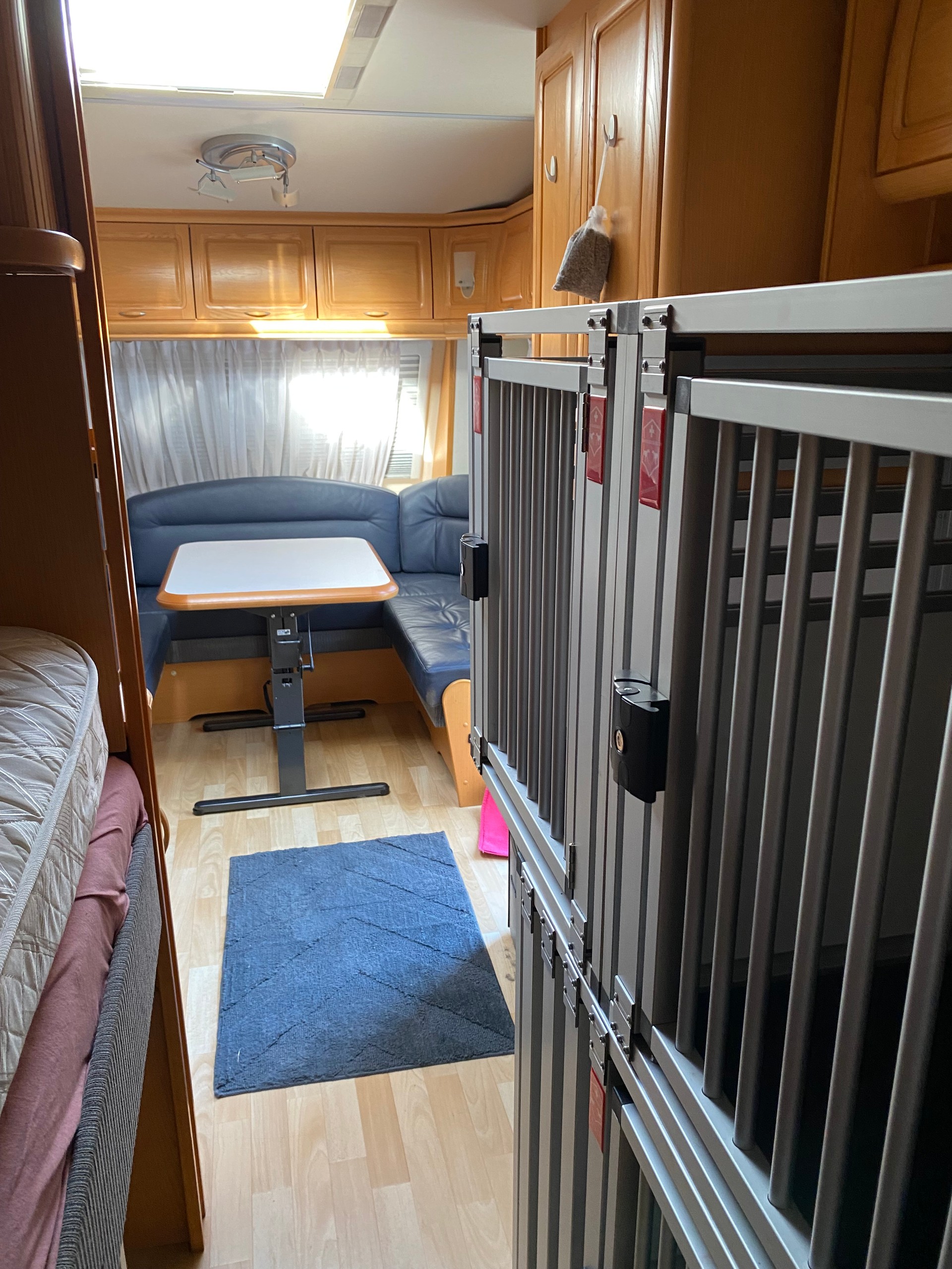 IVECO 50C18 Daily-image-14