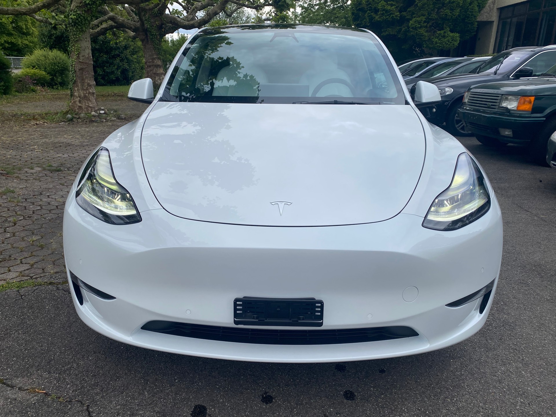 TESLA Long Range D-image-0
