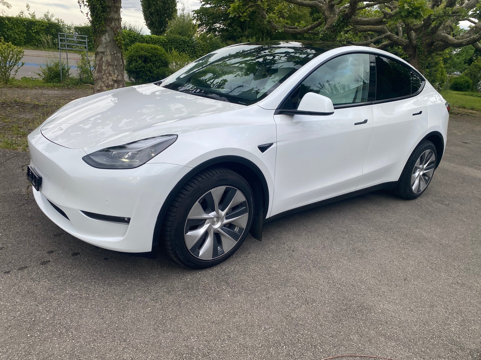 TESLA Long Range D-image-2