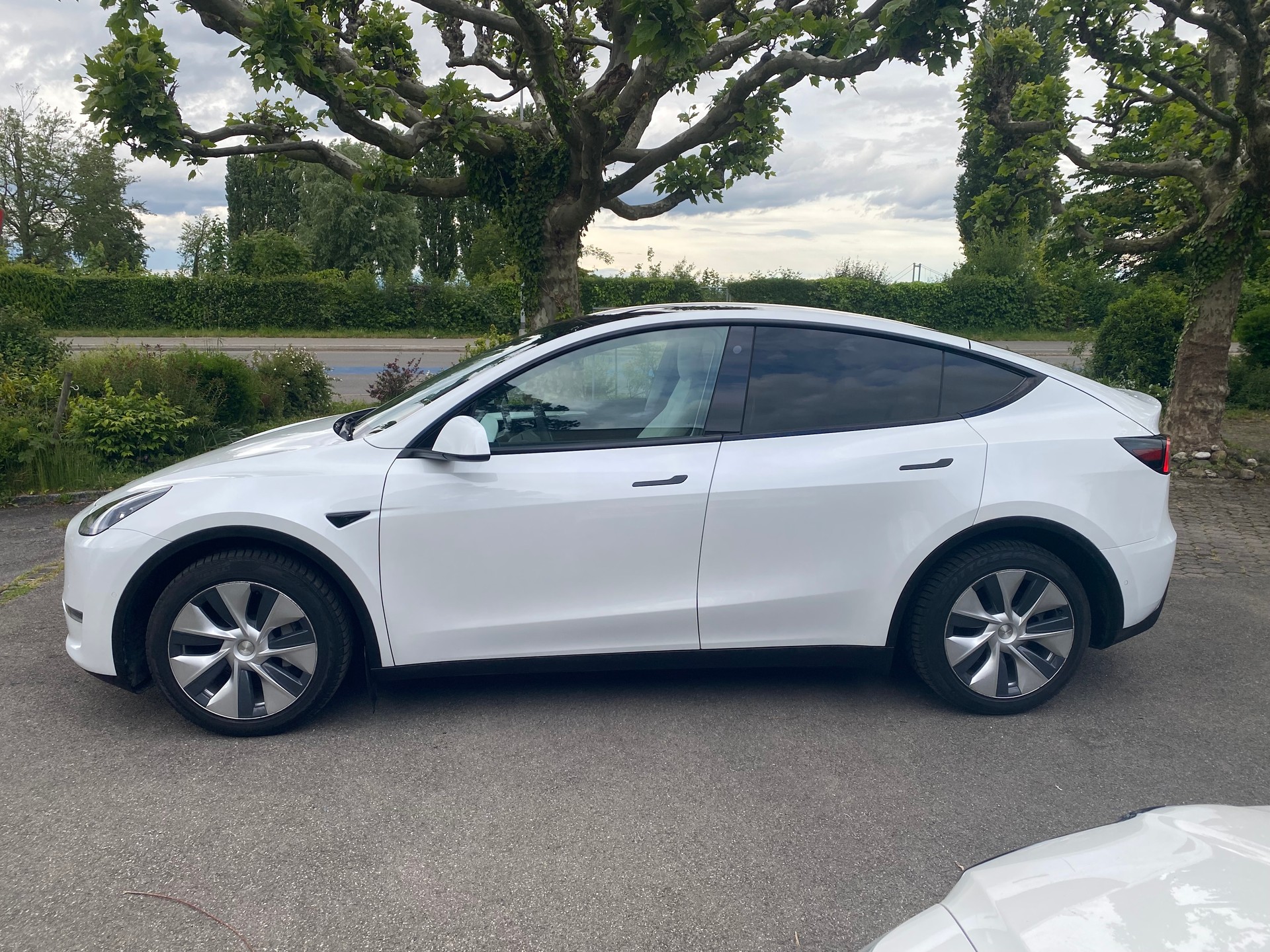 TESLA Long Range D-image-1