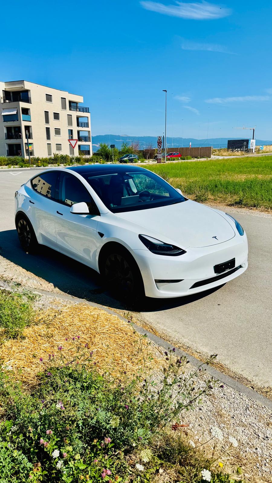 TESLA MODEL Y-image-0