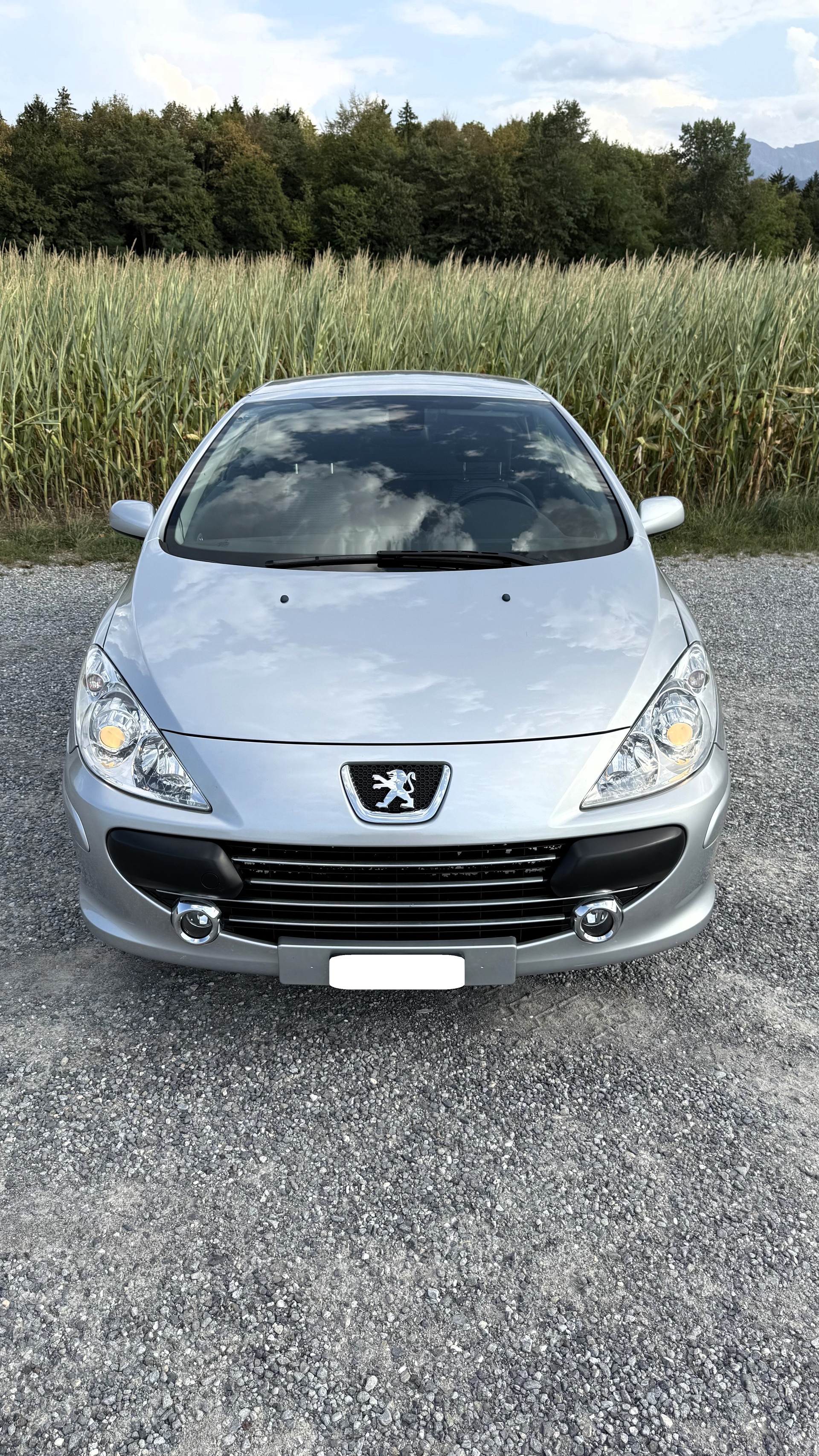 PEUGEOT 2.0 16V 143 Dynamic-image-3