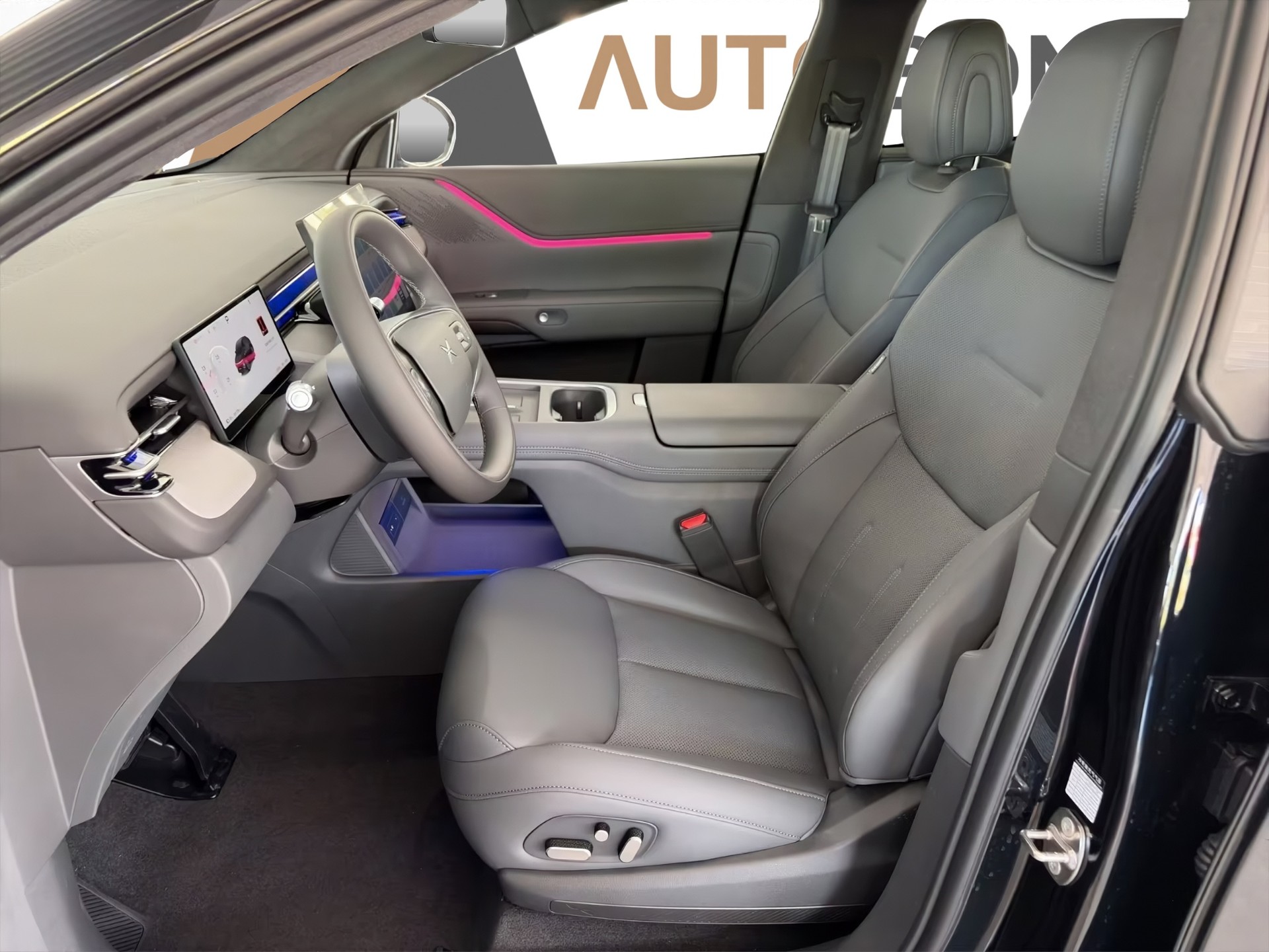 XPENG G6 Performance AWD-image-5