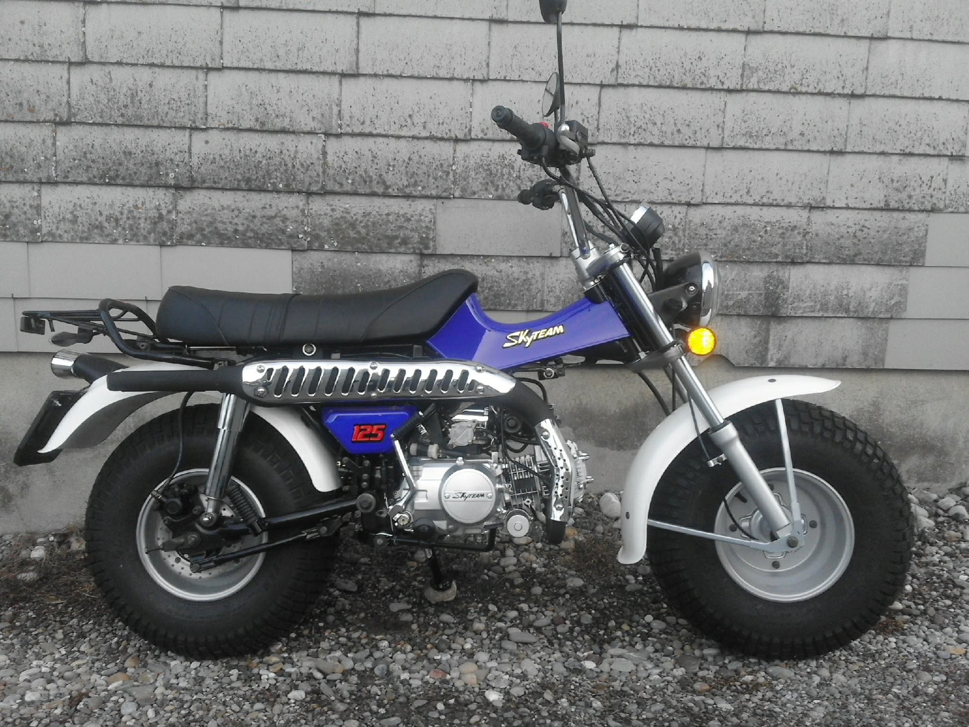 SKYTEAM T-Rex 125