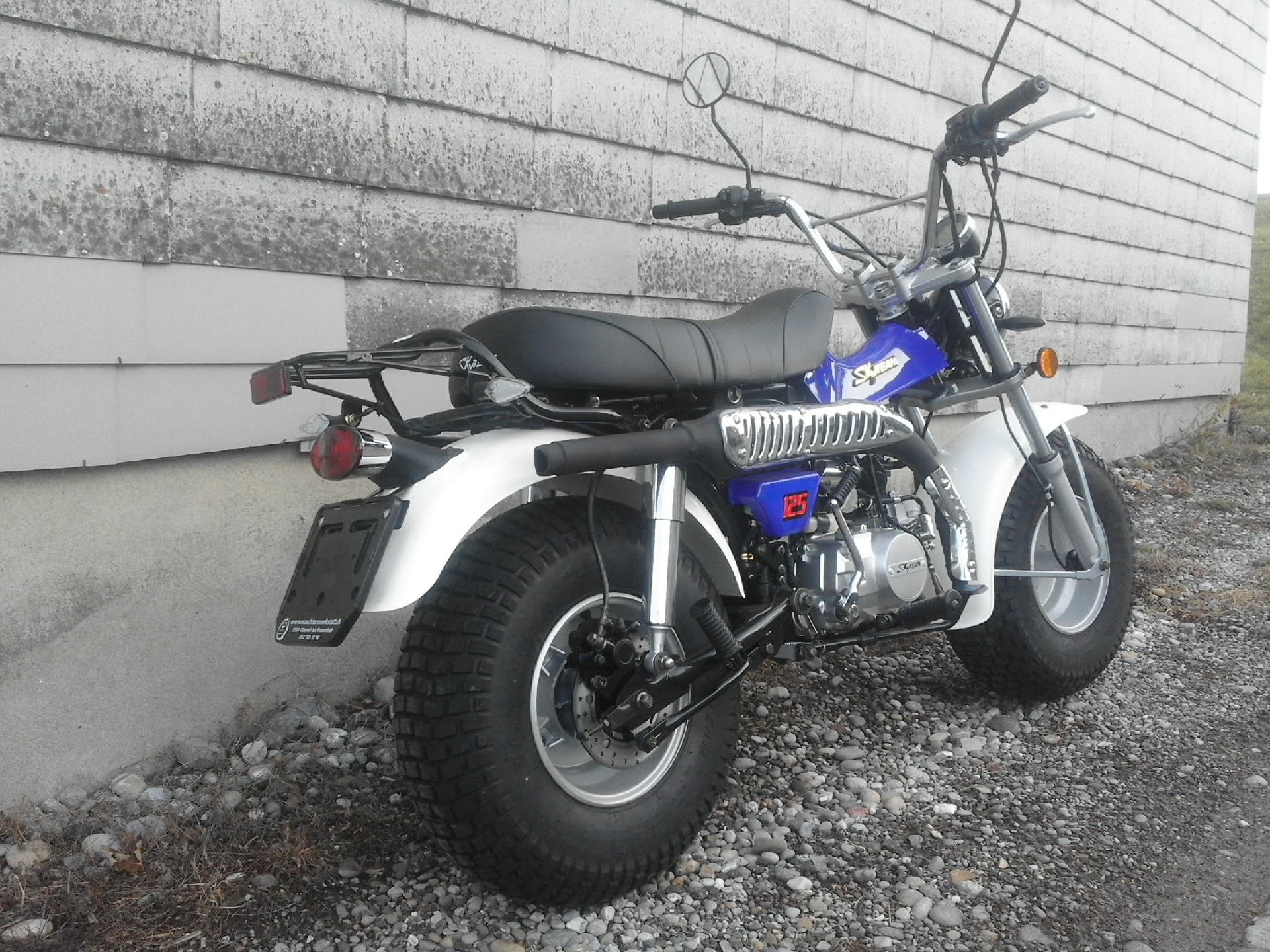 SKYTEAM T-Rex 125-image-2