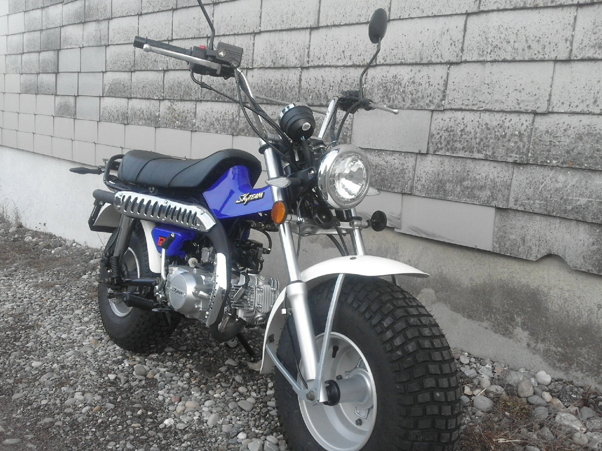SKYTEAM T-Rex 125-image-1