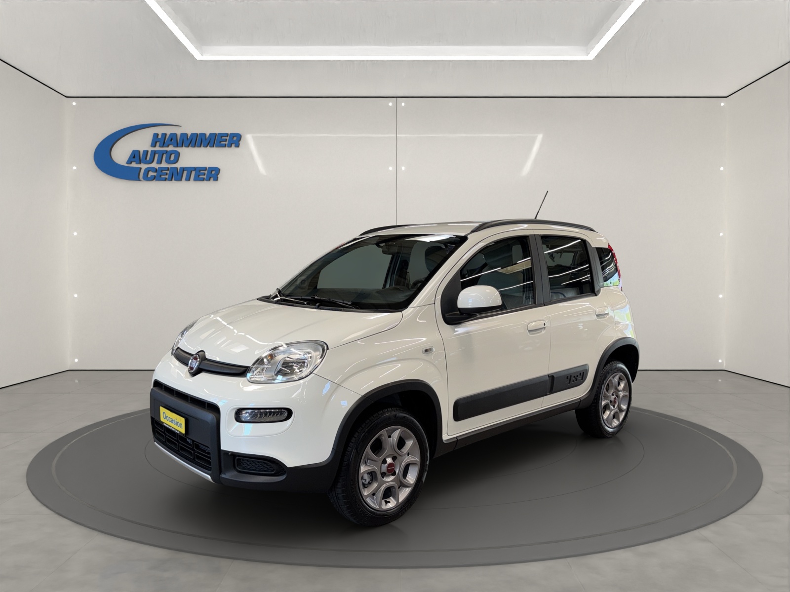 FIAT Panda 1.3 JTD Pop 4x4 S/S-image-0