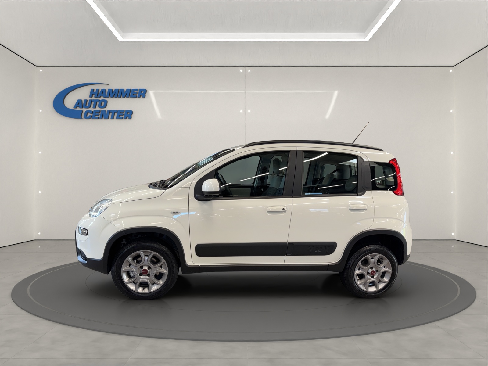 FIAT Panda 1.3 JTD Pop 4x4 S/S-image-1