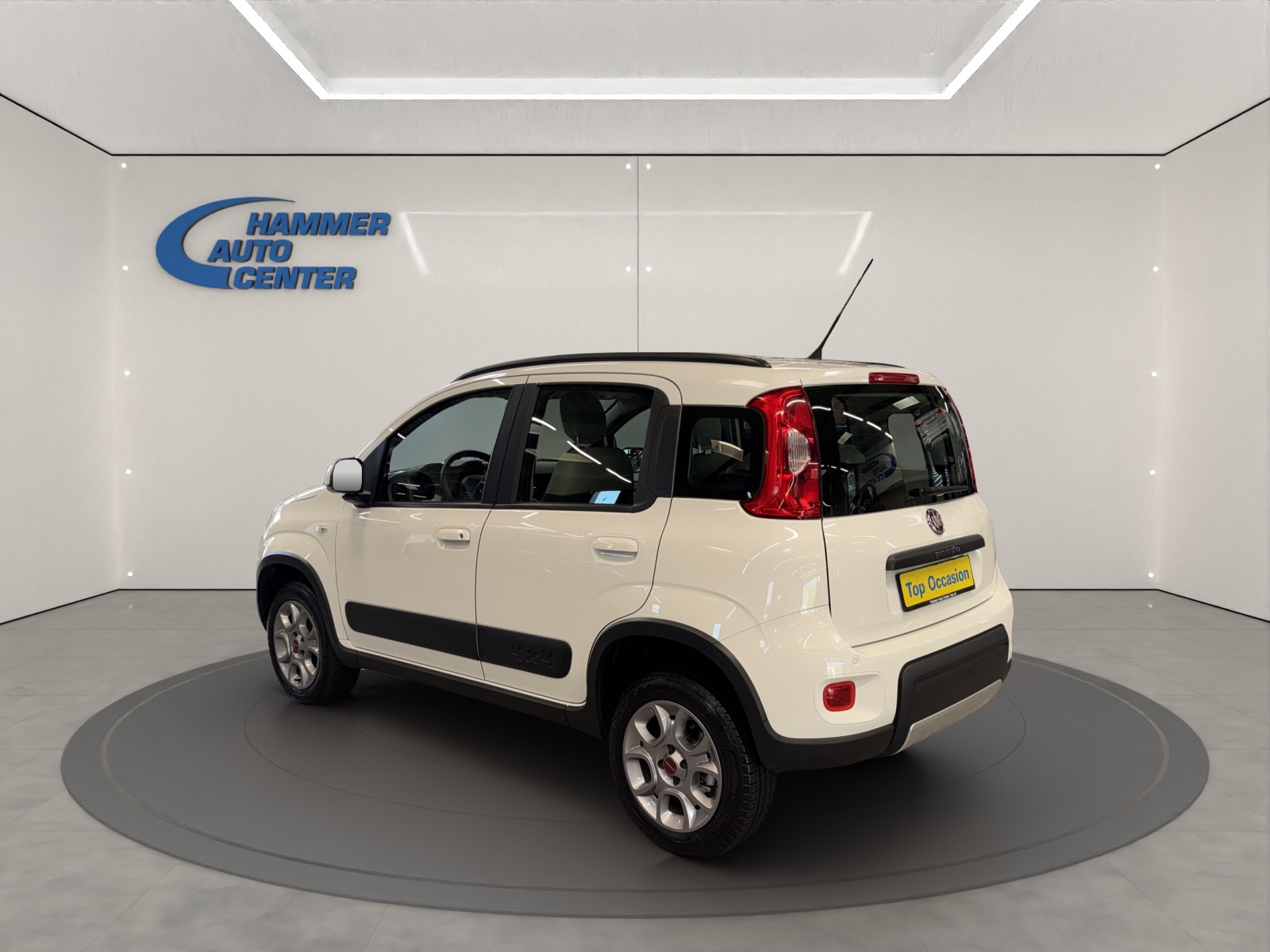 FIAT Panda 1.3 JTD Pop 4x4 S/S-image-2