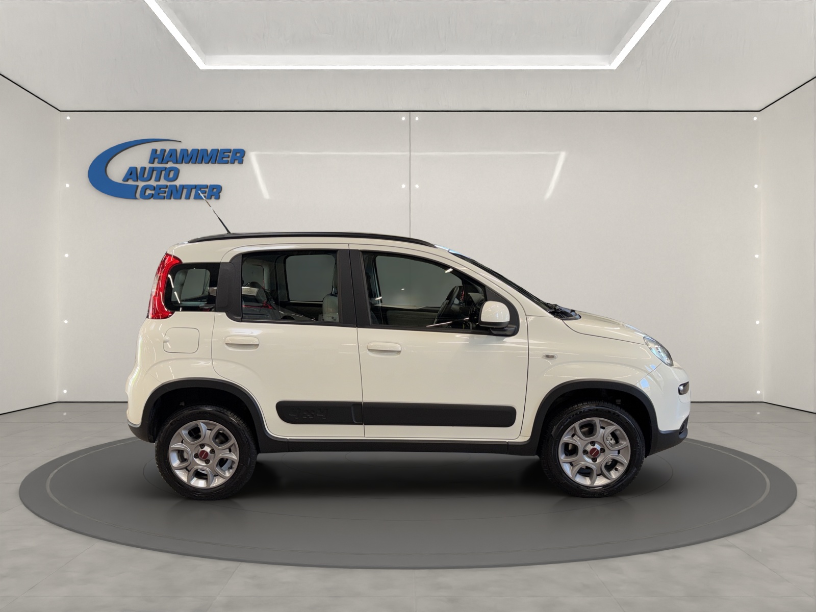 FIAT Panda 1.3 JTD Pop 4x4 S/S-image-5