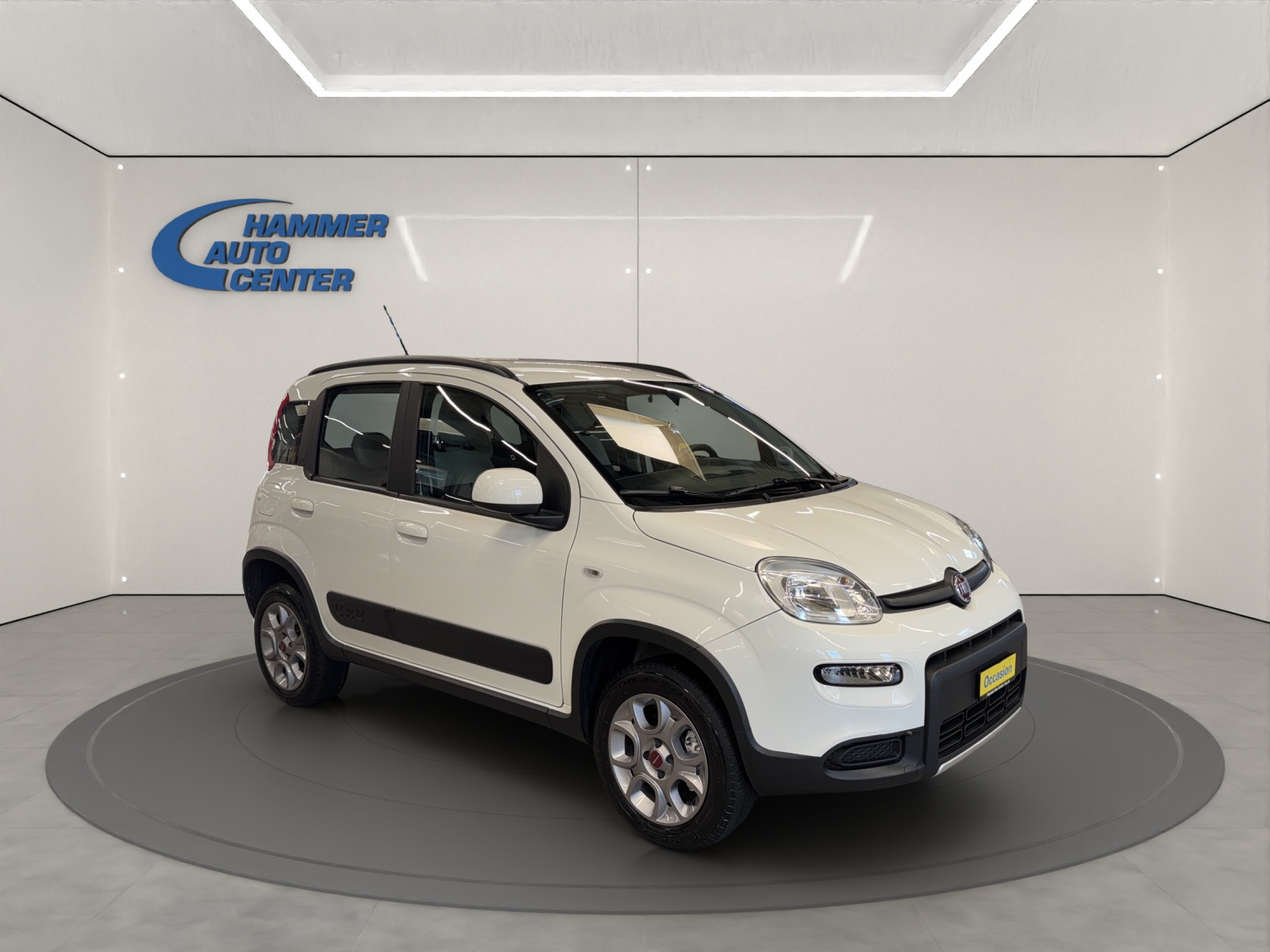 FIAT Panda 1.3 JTD Pop 4x4 S/S-image-6