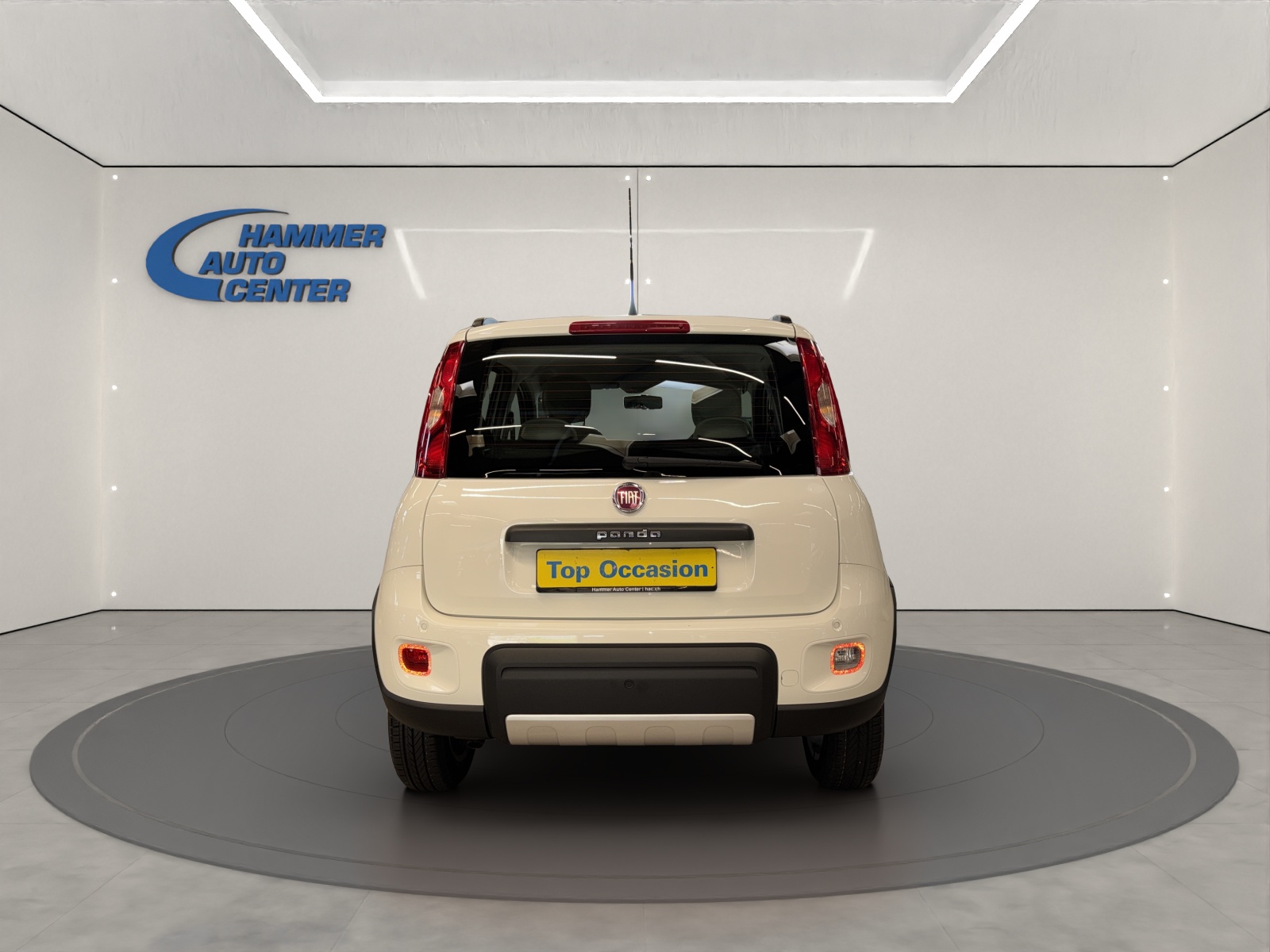 FIAT Panda 1.3 JTD Pop 4x4 S/S-image-3