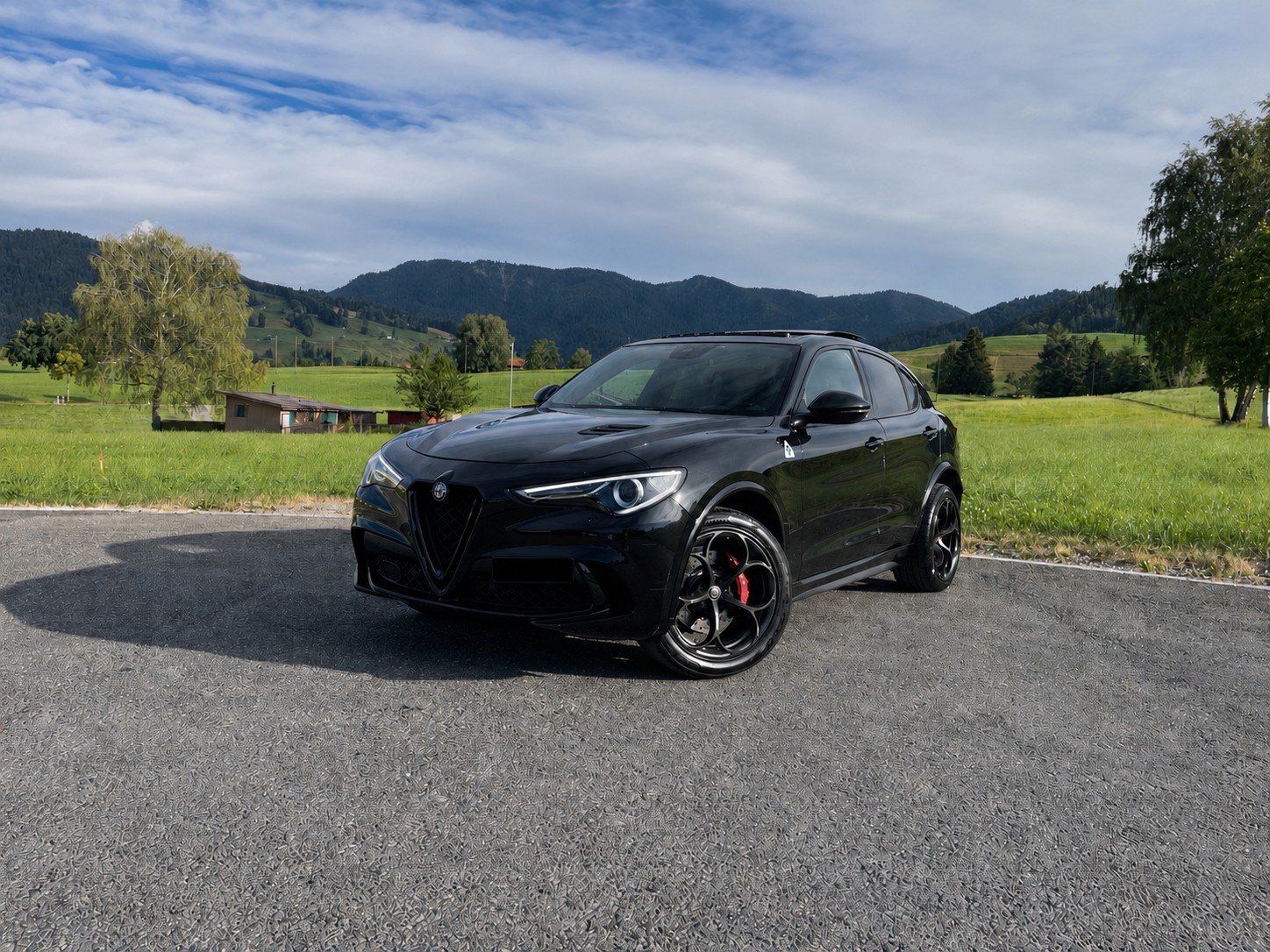 ALFA ROMEO Stelvio 2.9 V6 Quadrifoglio Q4 Automatic
