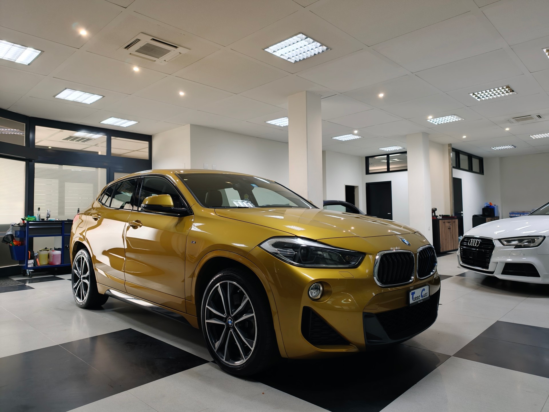 BMW X2 xDrive 20d M Sport Steptronic