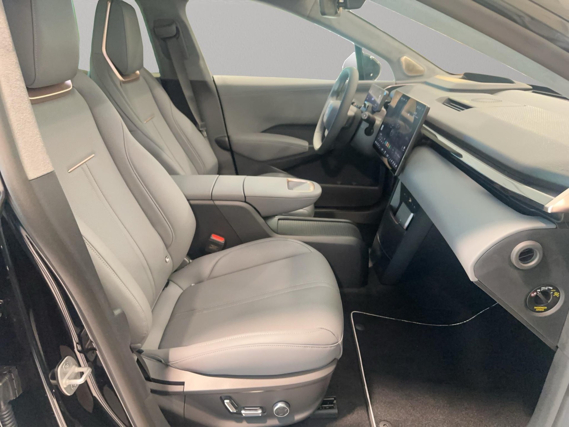 ZEEKR X Privilege AWD-image-7
