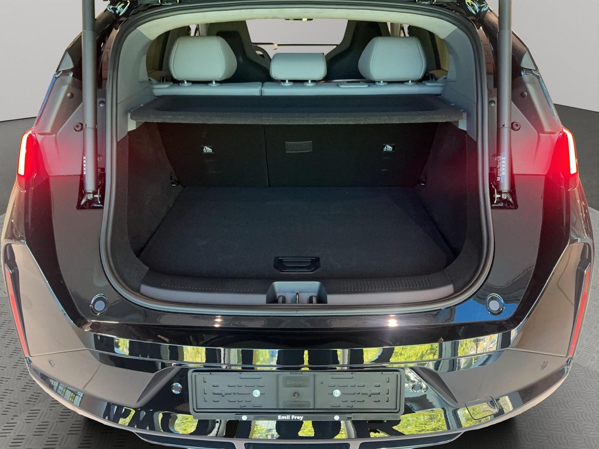 ZEEKR X Privilege AWD-image-4