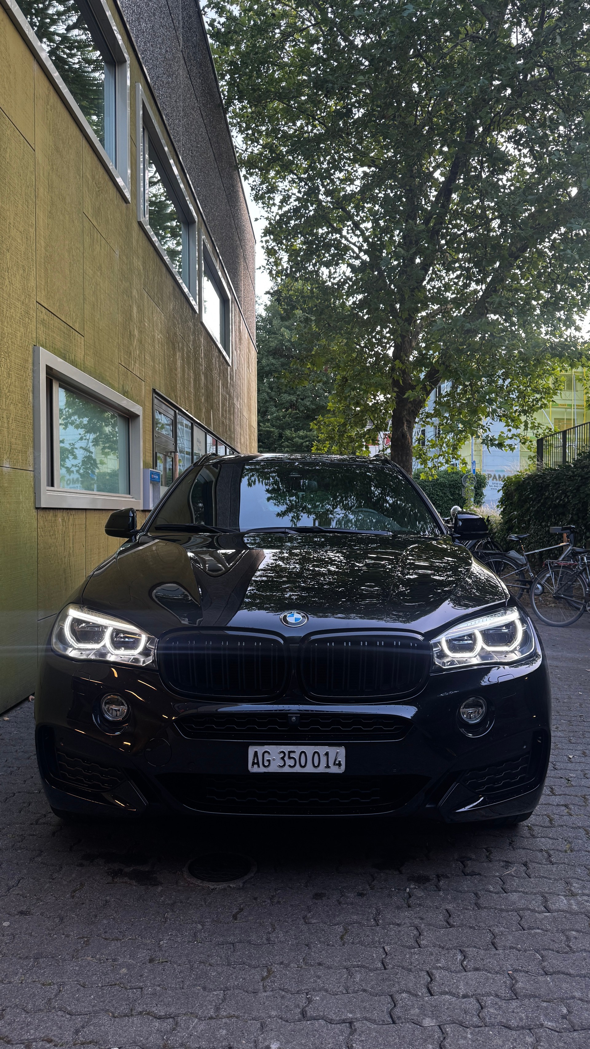 BMW X6 xDrive 40d Steptronic-image-4