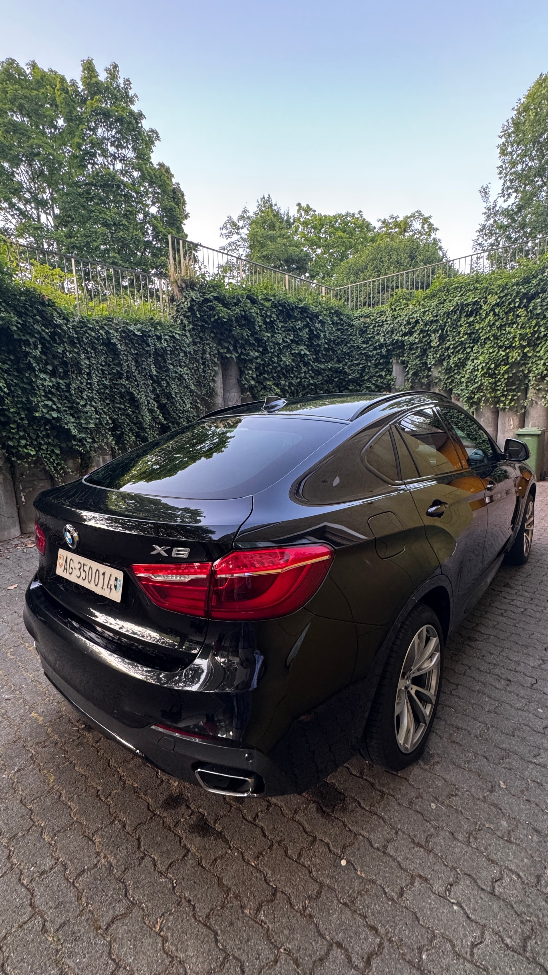 BMW X6 xDrive 40d Steptronic-image-3