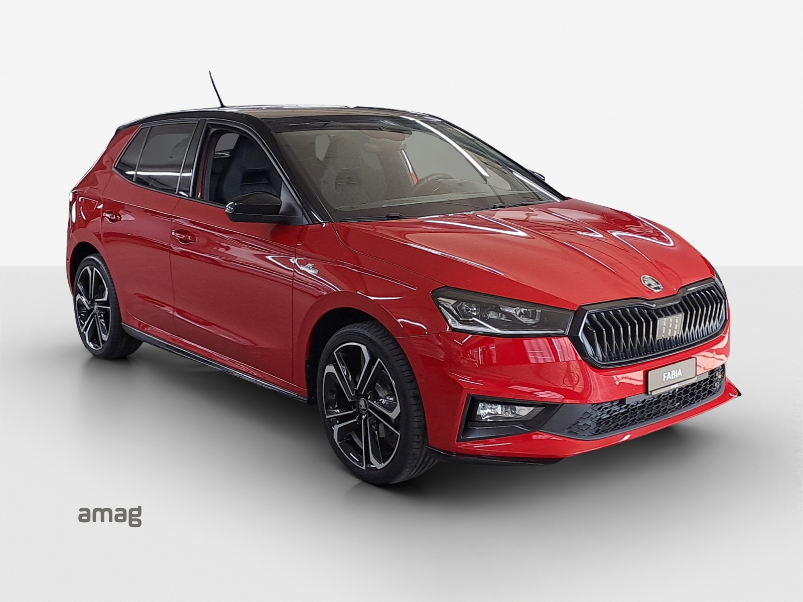 SKODA Fabia 1.0 TSI Monte Carlo DSG-image-5