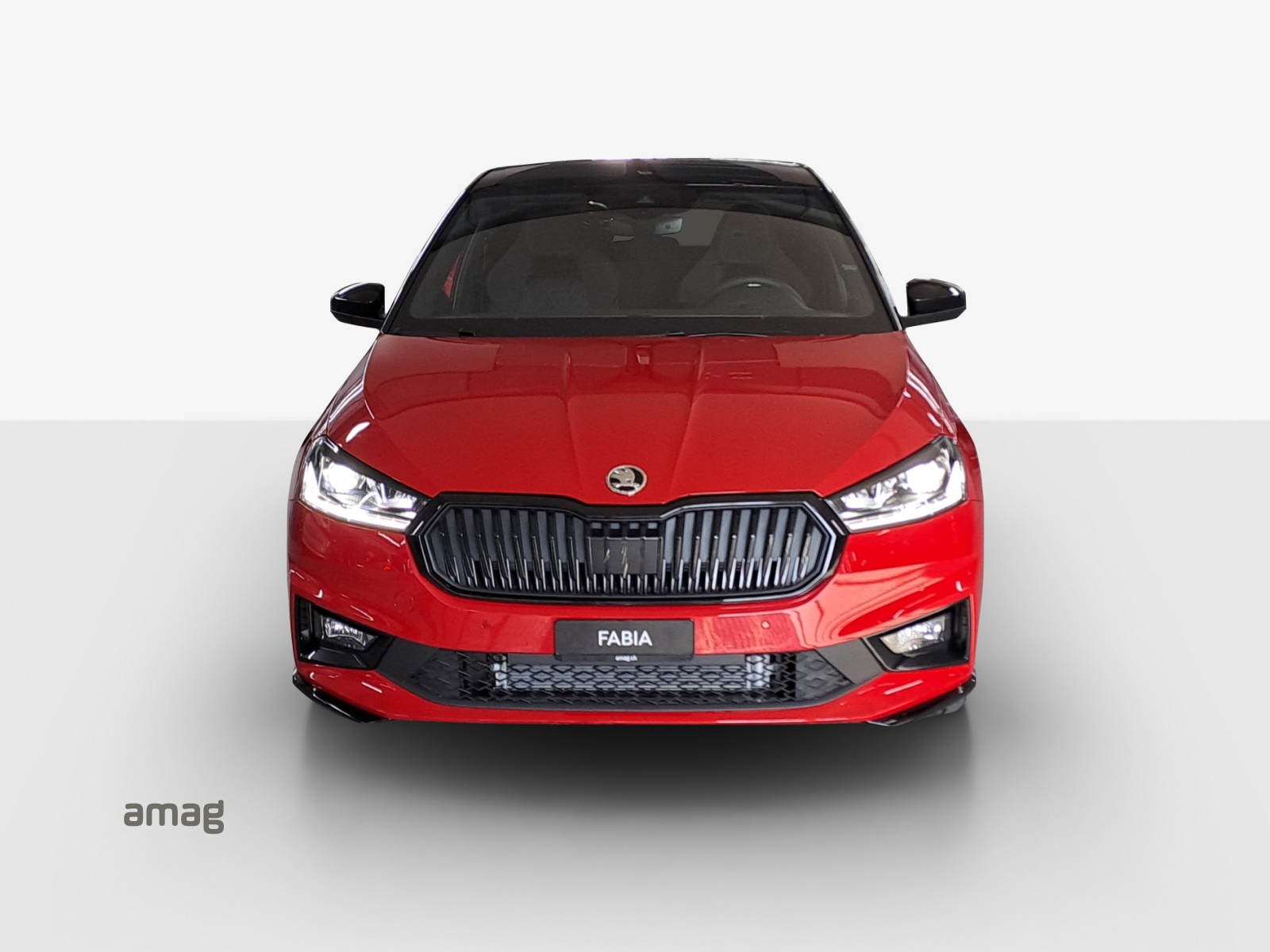 SKODA Fabia 1.0 TSI Monte Carlo DSG-image-6