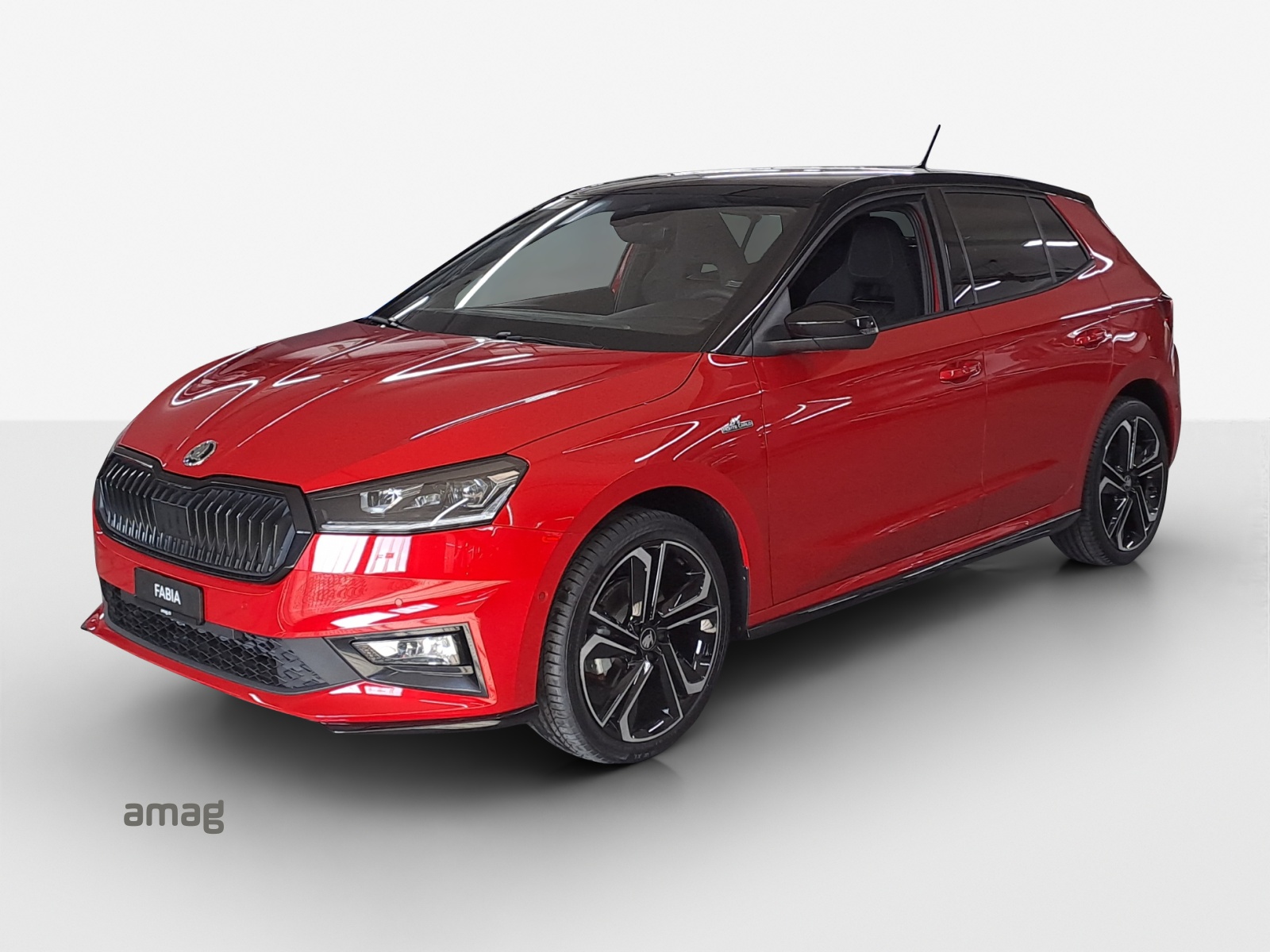 SKODA Fabia 1.0 TSI Monte Carlo DSG-image-0