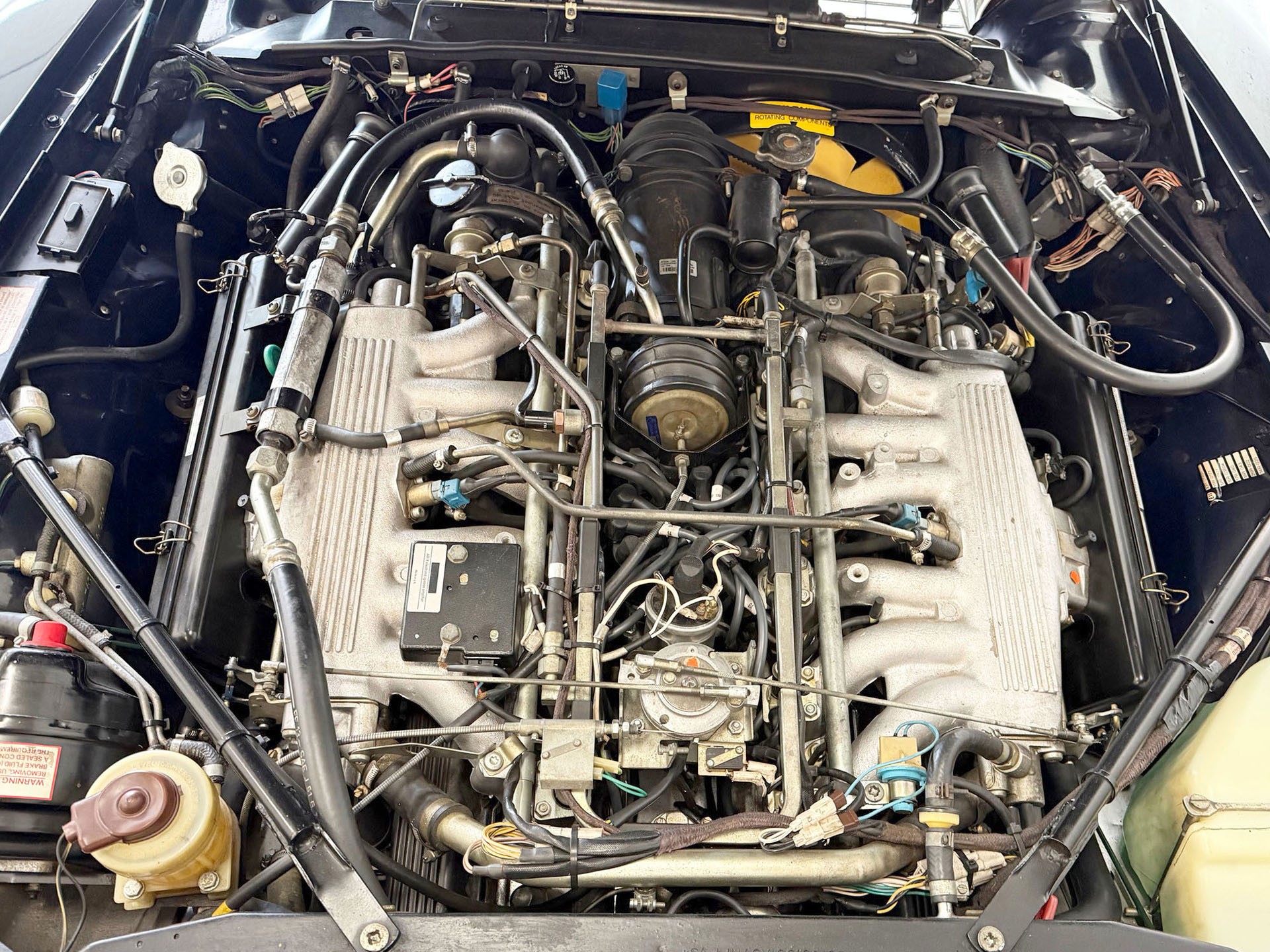 JAGUAR XJS 5.3 V12 Convertible | Vétéran-image-16