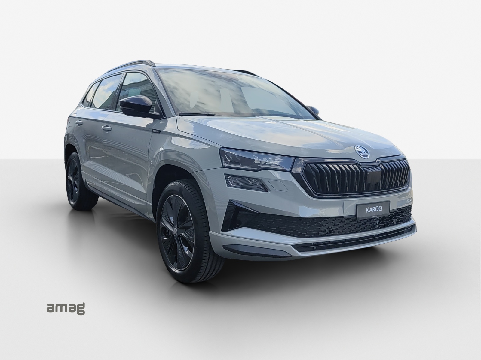 SKODA Karoq 2.0 TSI Dynamic Limited Edition 4x4 DSG-image-5