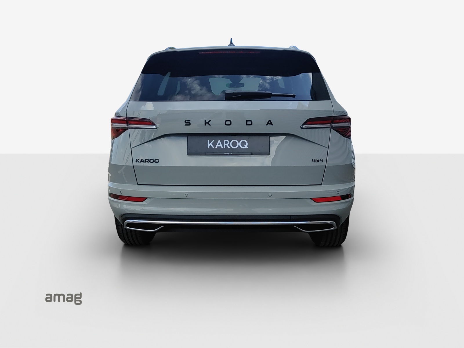 SKODA Karoq 2.0 TSI Dynamic Limited Edition 4x4 DSG-image-3