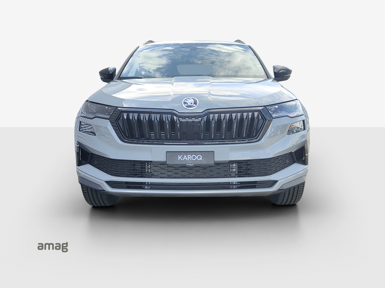 SKODA Karoq 2.0 TSI Dynamic Limited Edition 4x4 DSG-image-6