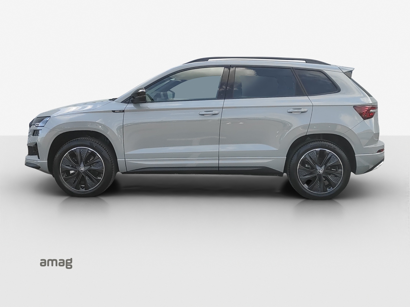SKODA Karoq 2.0 TSI Dynamic Limited Edition 4x4 DSG-image-1