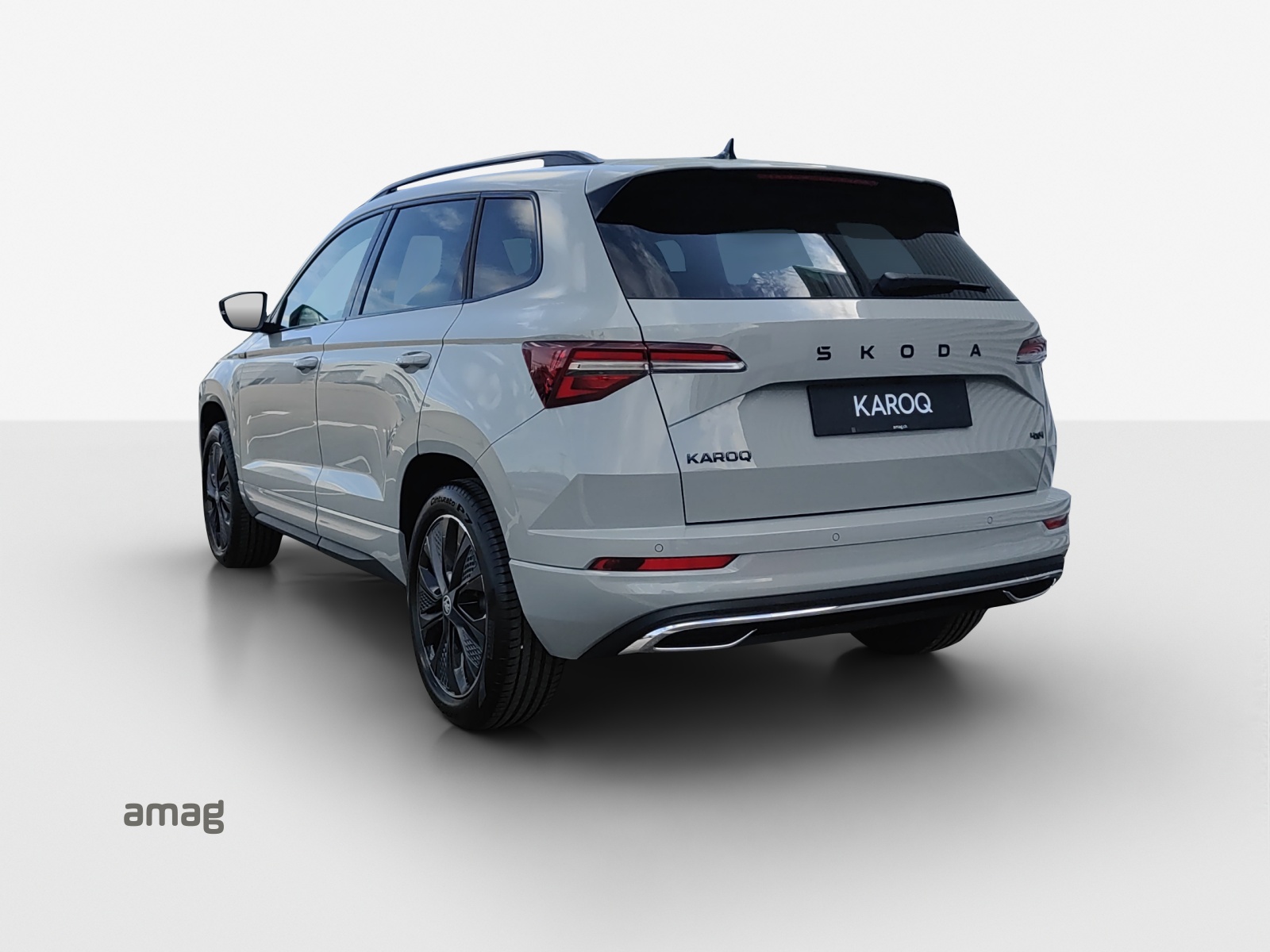 SKODA Karoq 2.0 TSI Dynamic Limited Edition 4x4 DSG-image-2