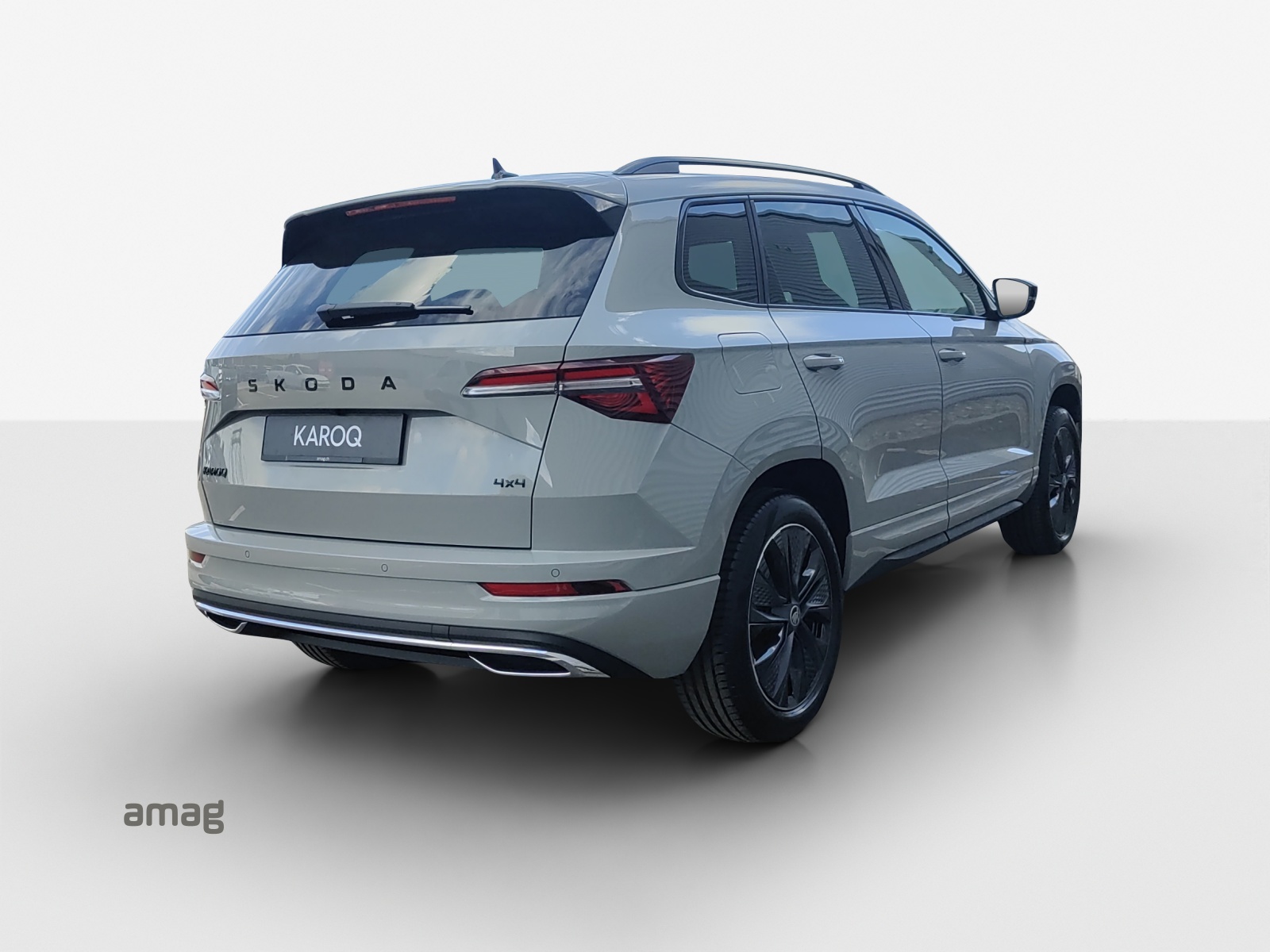 SKODA Karoq 2.0 TSI Dynamic Limited Edition 4x4 DSG-image-4