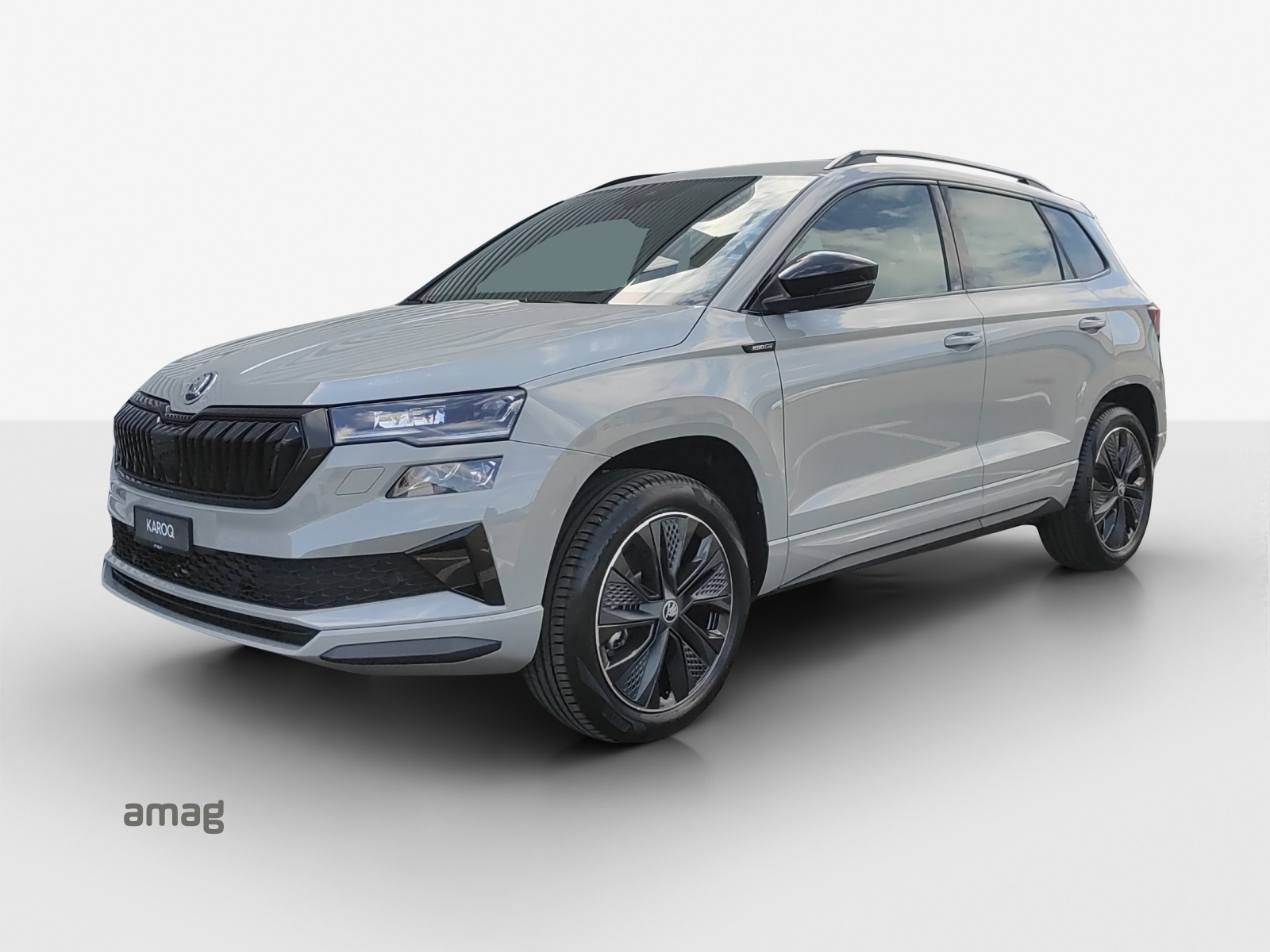 SKODA Karoq 2.0 TSI Dynamic Limited Edition 4x4 DSG-image-0