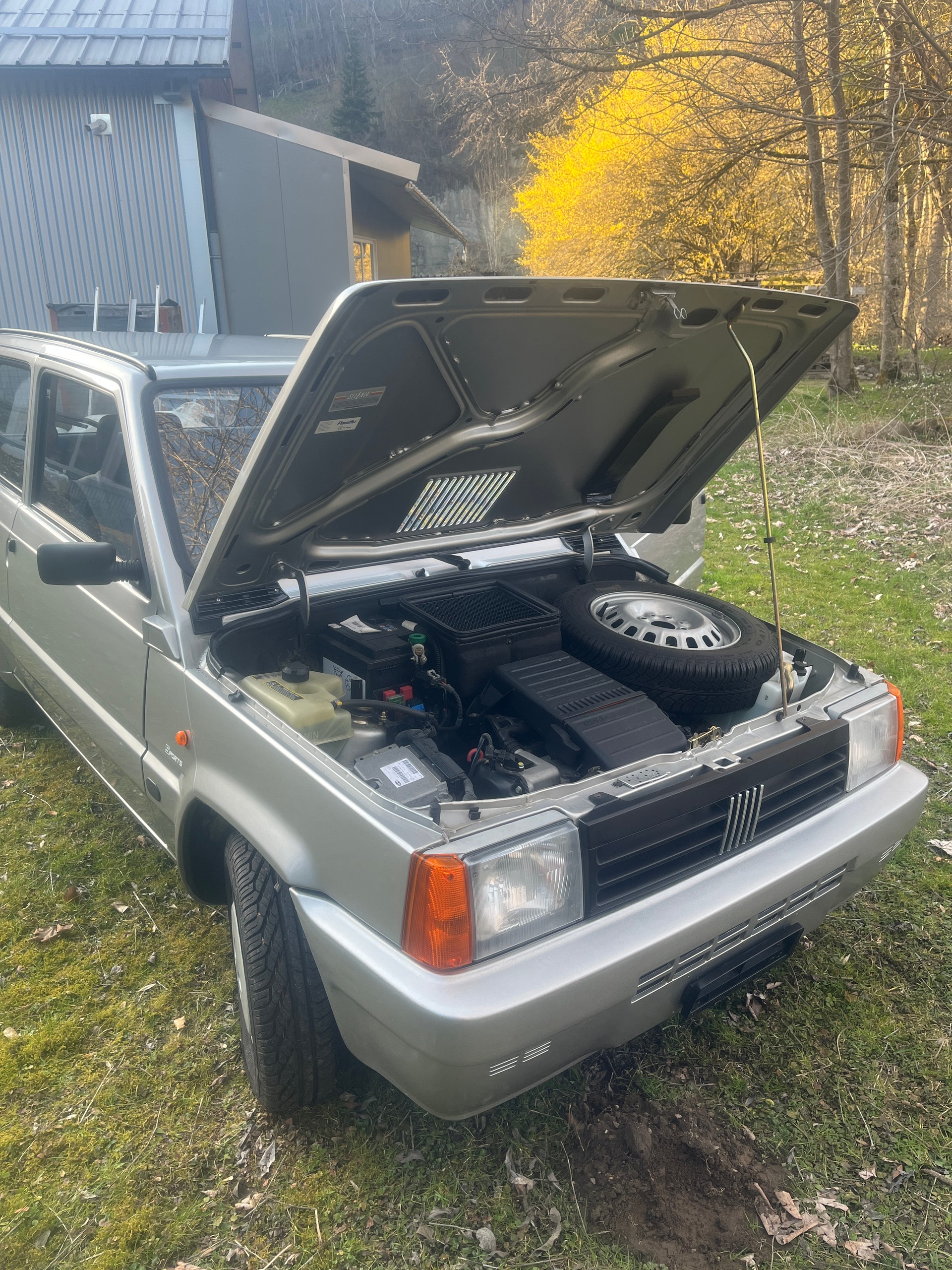 FIAT Panda 1100 Young-image-3