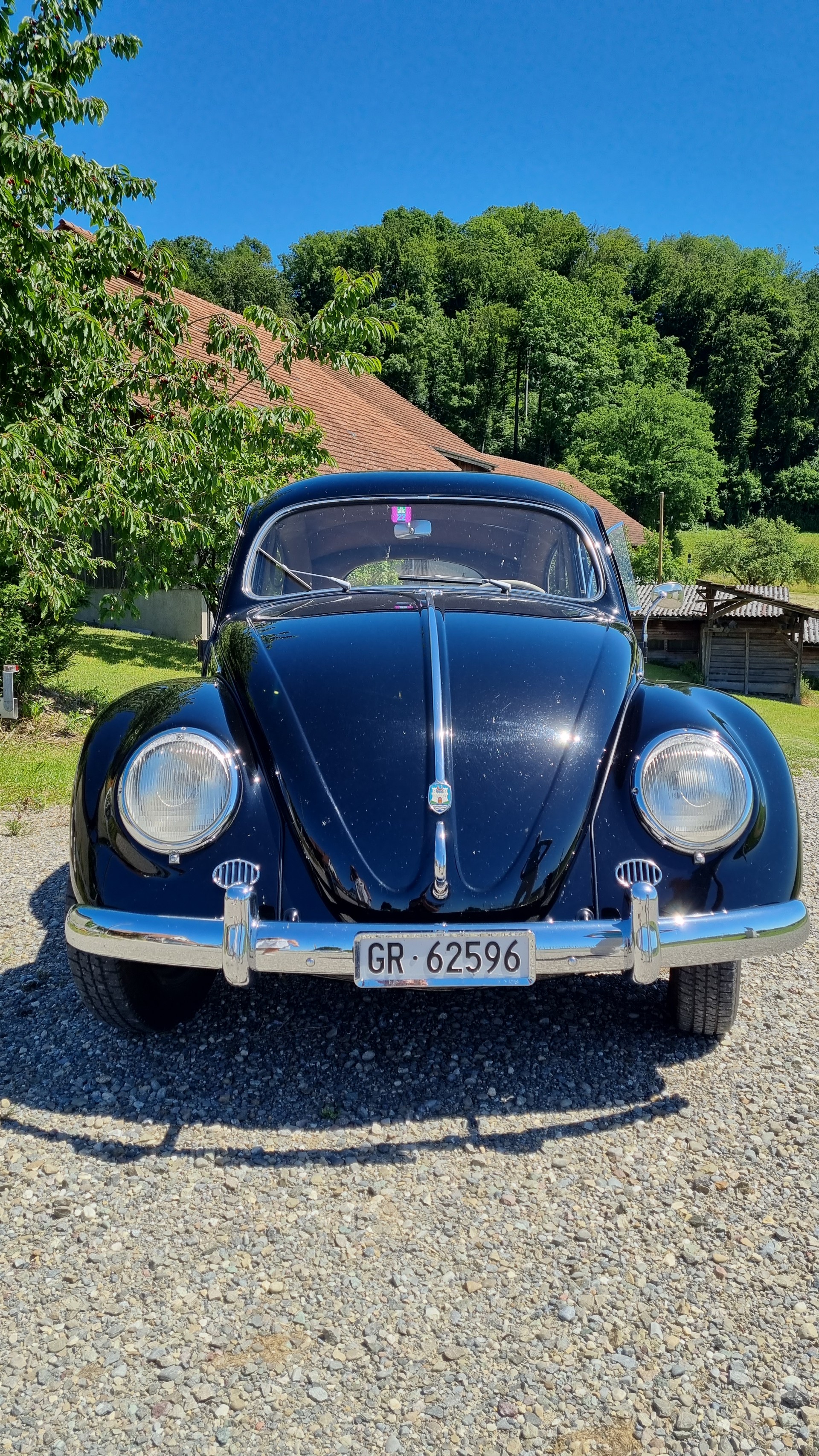 VW Käfer 11.3 DE LUXE-image-2