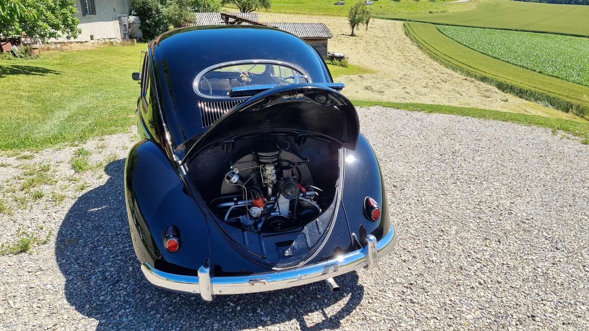 VW Käfer 11.3 DE LUXE-image-8