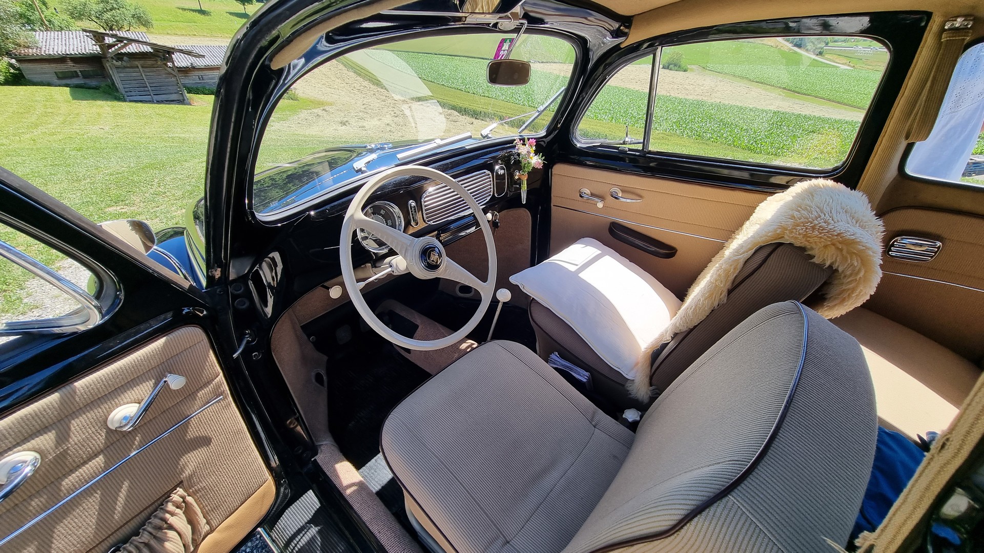 VW Käfer 11.3 DE LUXE-image-4