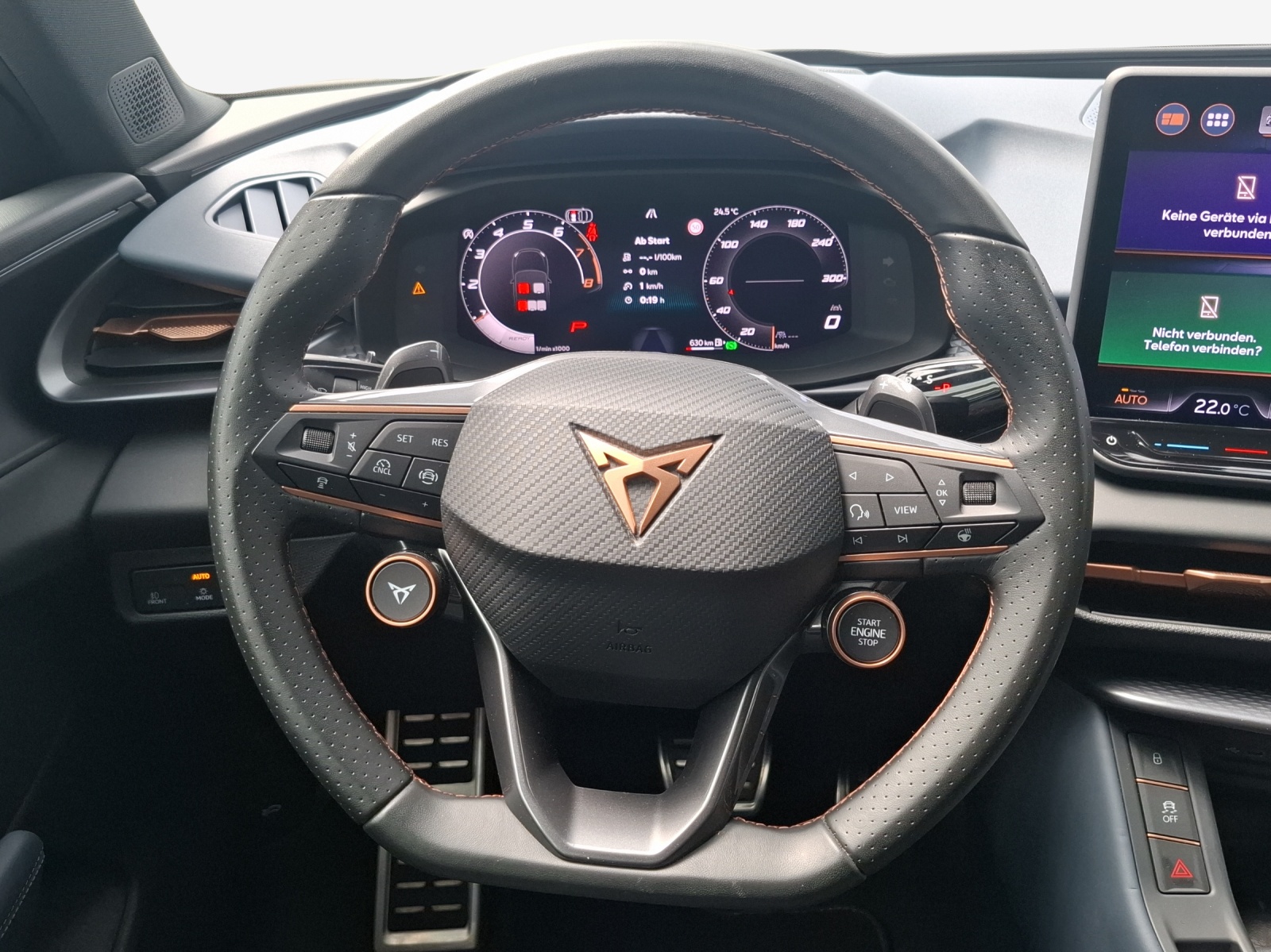 CUPRA Terramar 2.0 TSI DSG 4Drive VZ-image-9