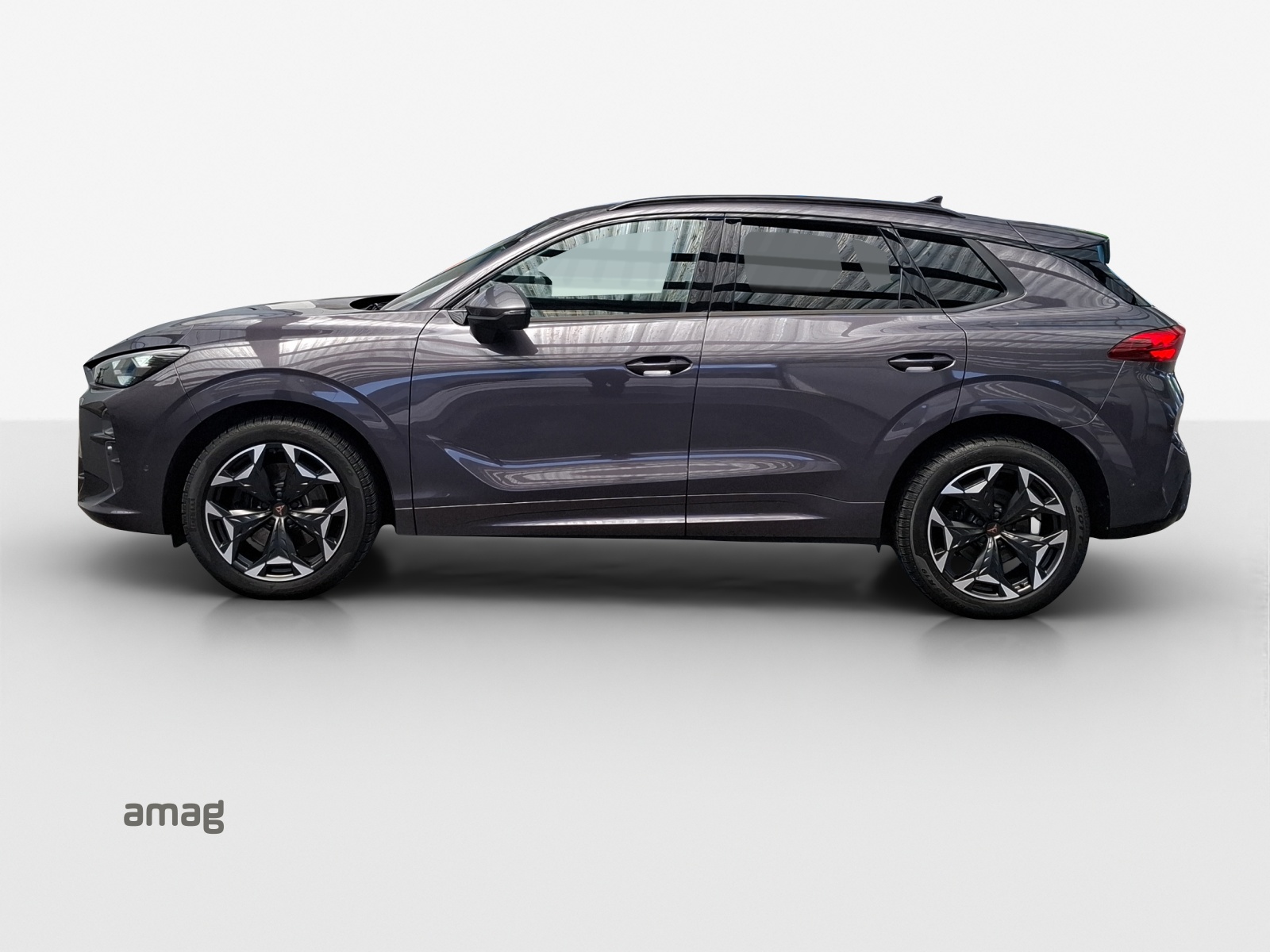CUPRA Terramar 2.0 TSI DSG 4Drive VZ-image-1