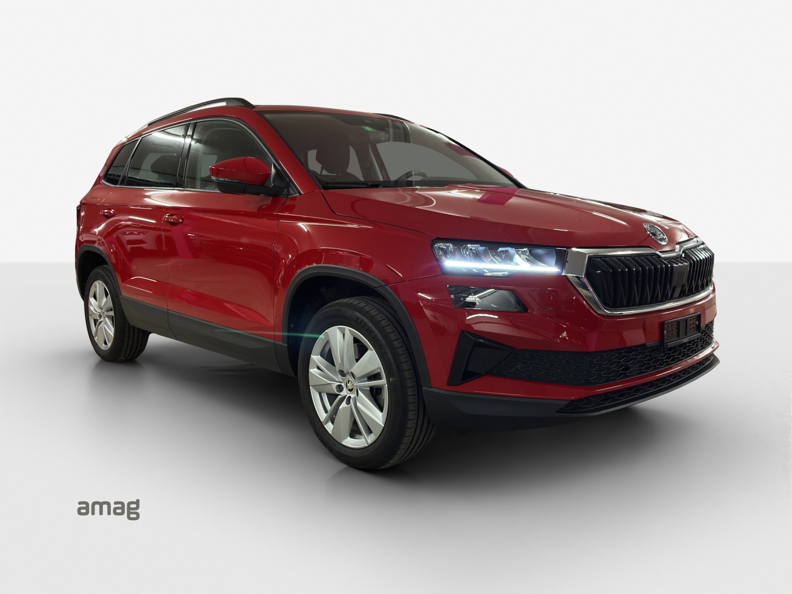 SKODA Karoq 1.5 TSI Selection DSG-image-5