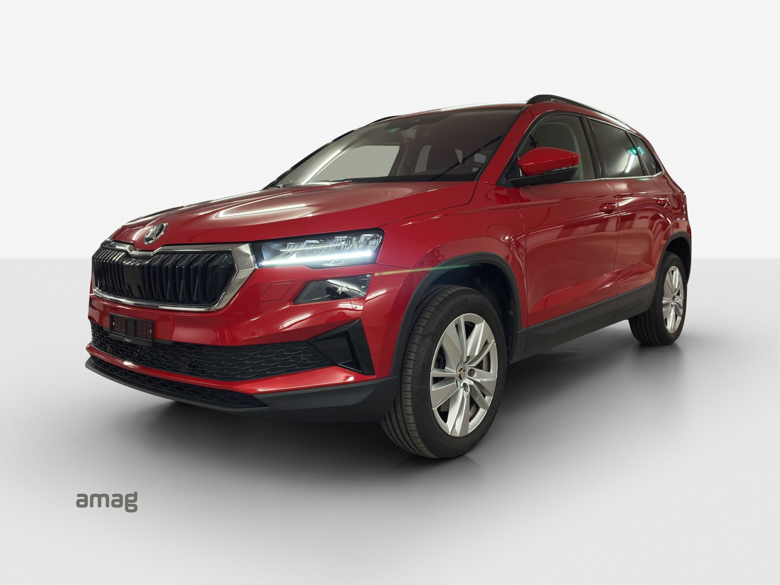 SKODA Karoq 1.5 TSI Selection DSG-image-0