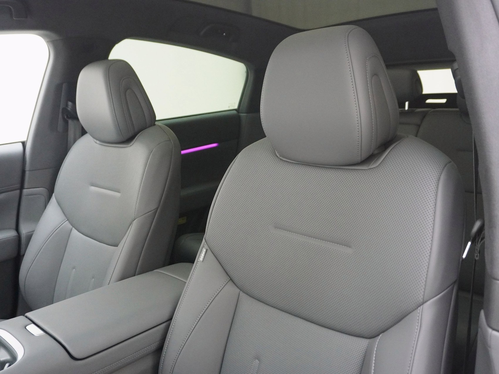 XPENG G6 Performance AWD-image-10