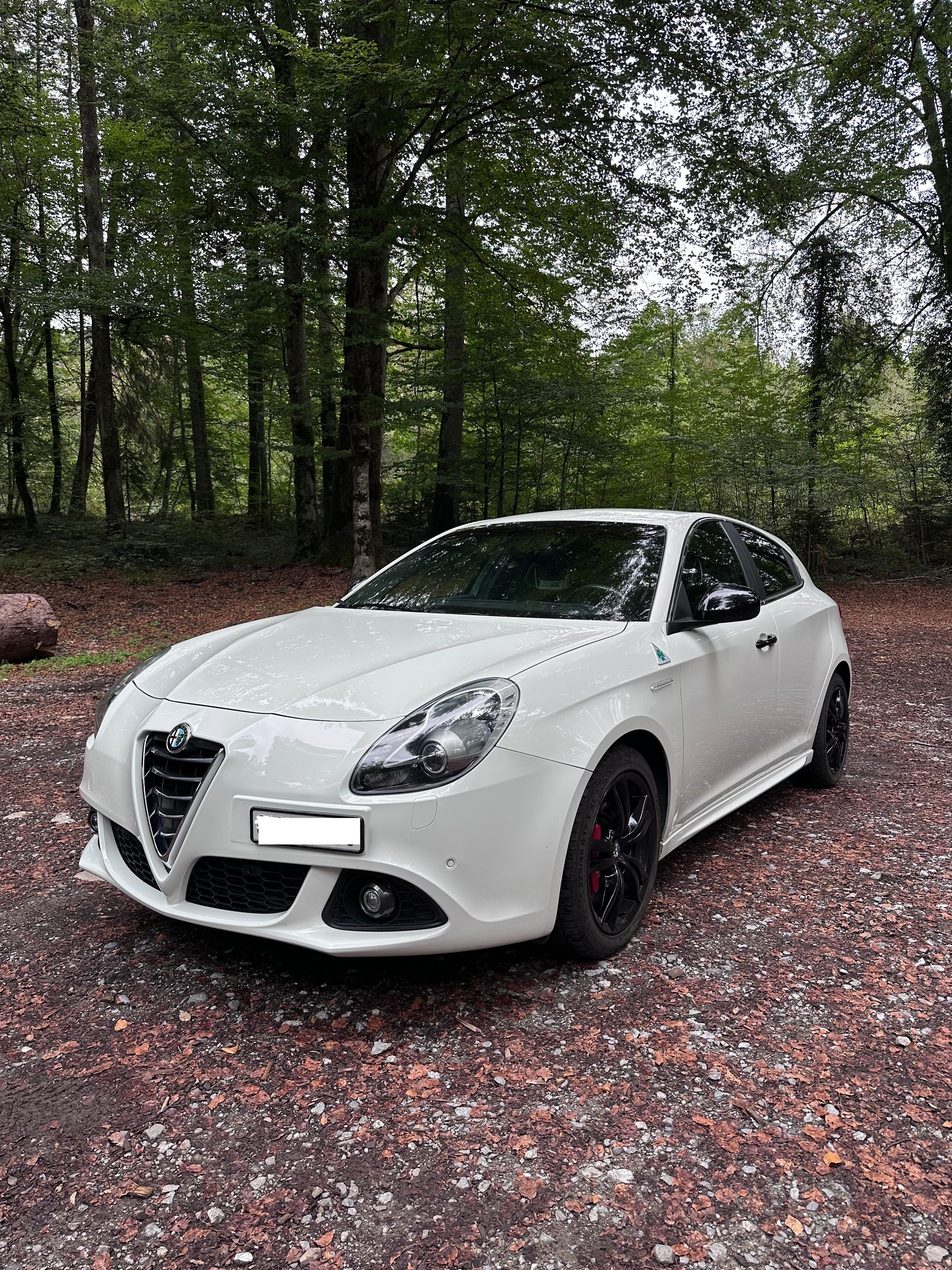 ALFA ROMEO 1750 TBi Quadrifogl. Verde TCT-image-0