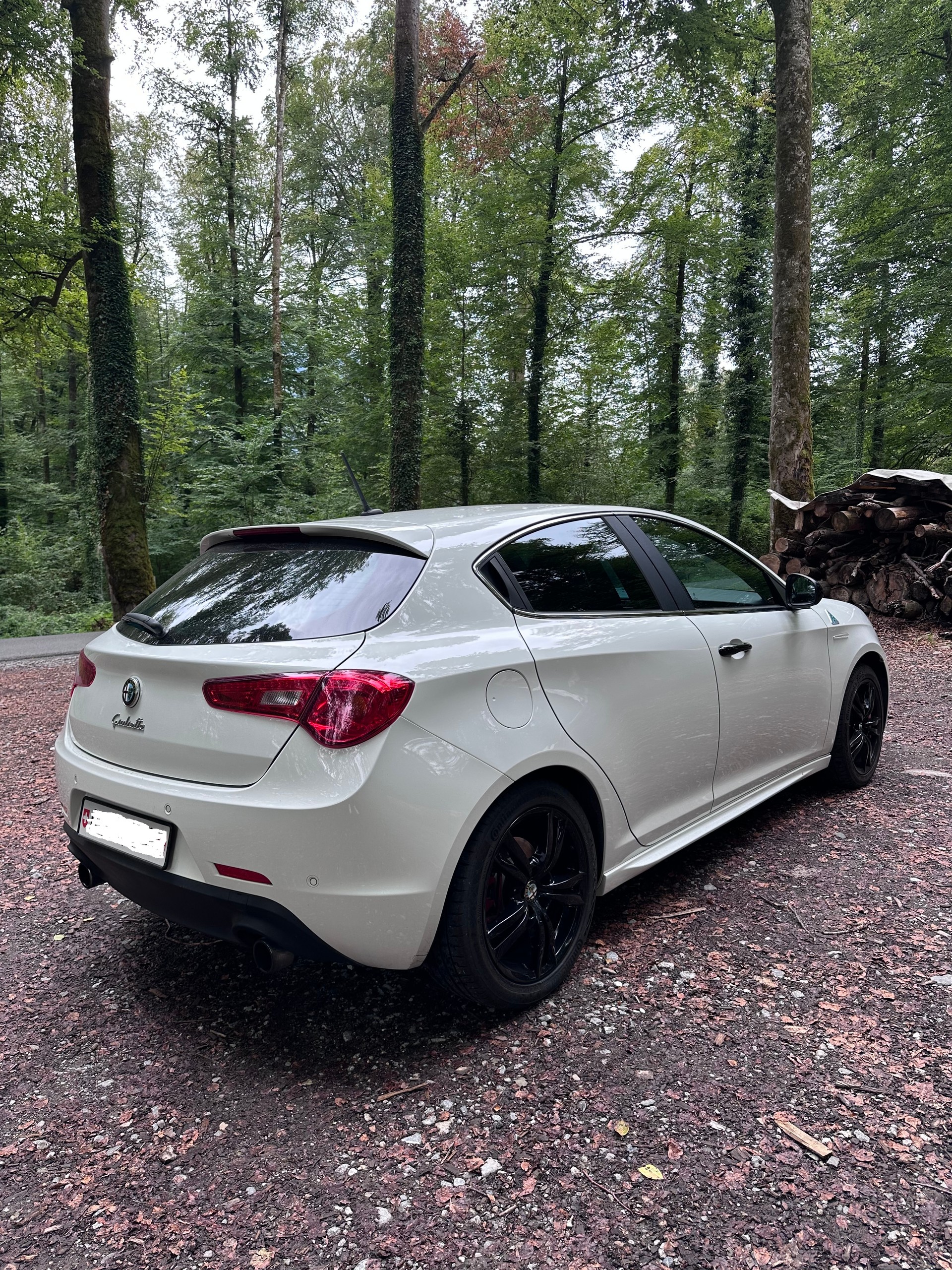 ALFA ROMEO 1750 TBi Quadrifoglio Verde TCT-image-6