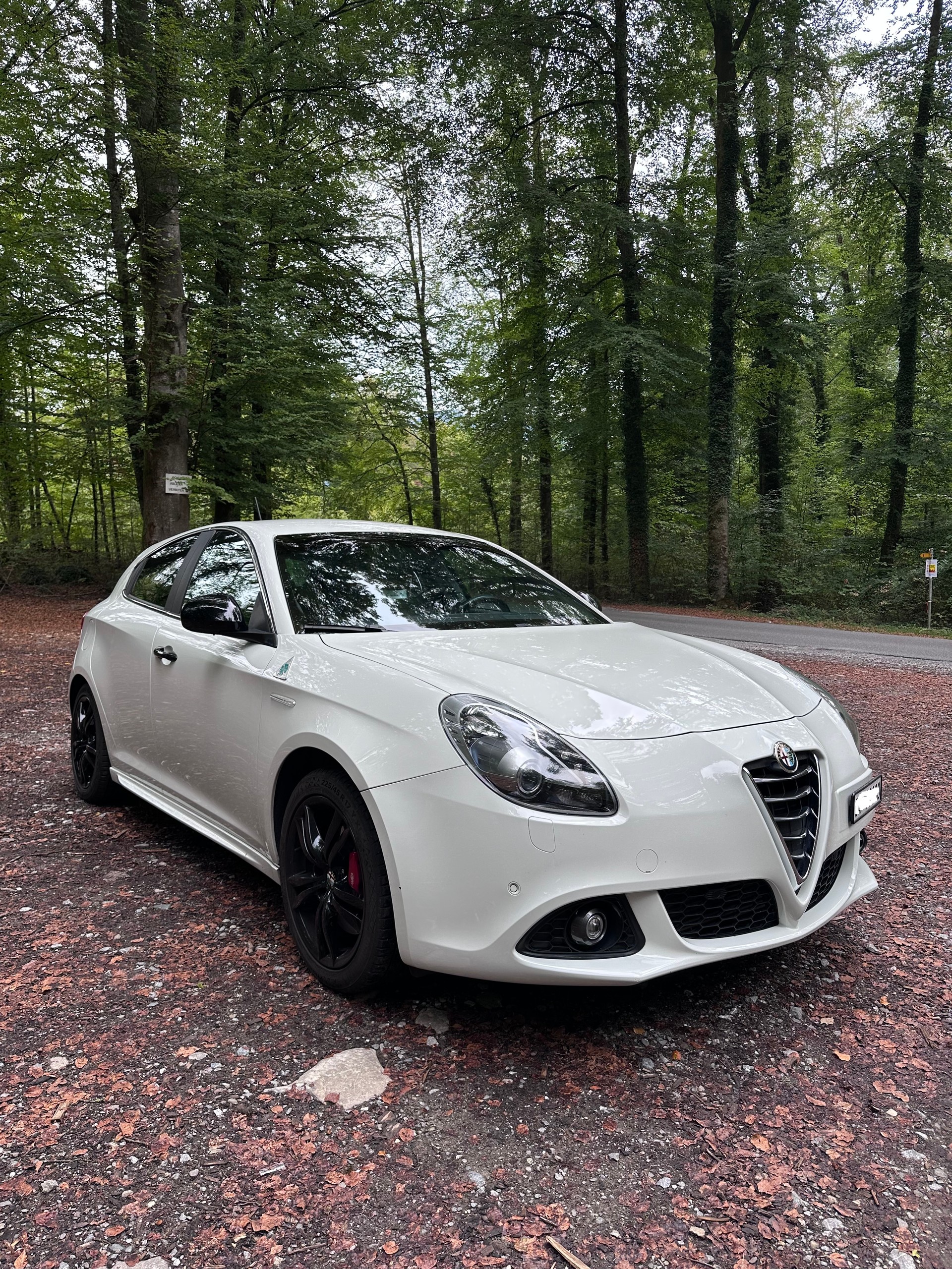ALFA ROMEO 1750 TBi Quadrifoglio Verde TCT-image-8