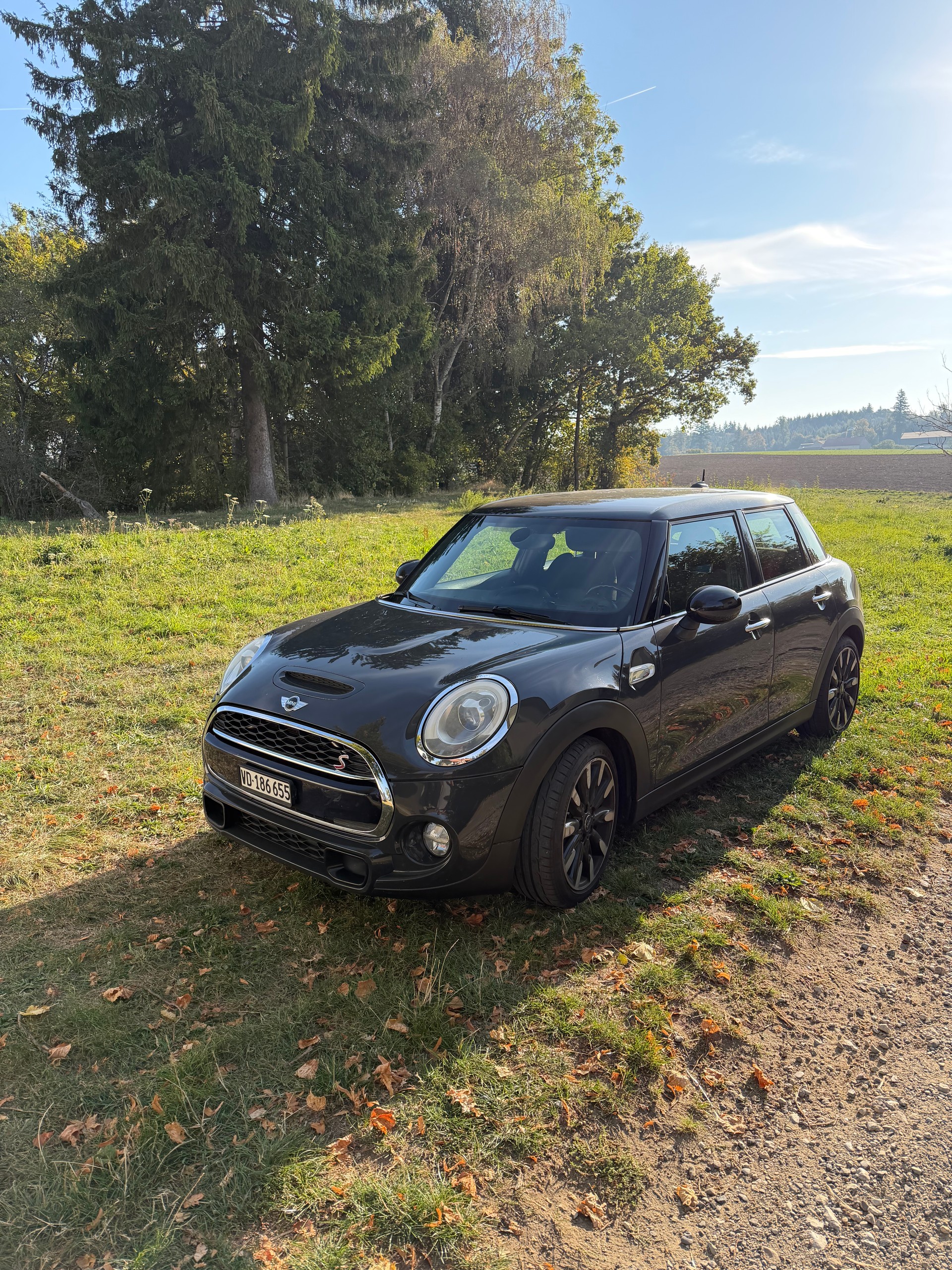 MINI 2.0i Cooper S F55-image-0