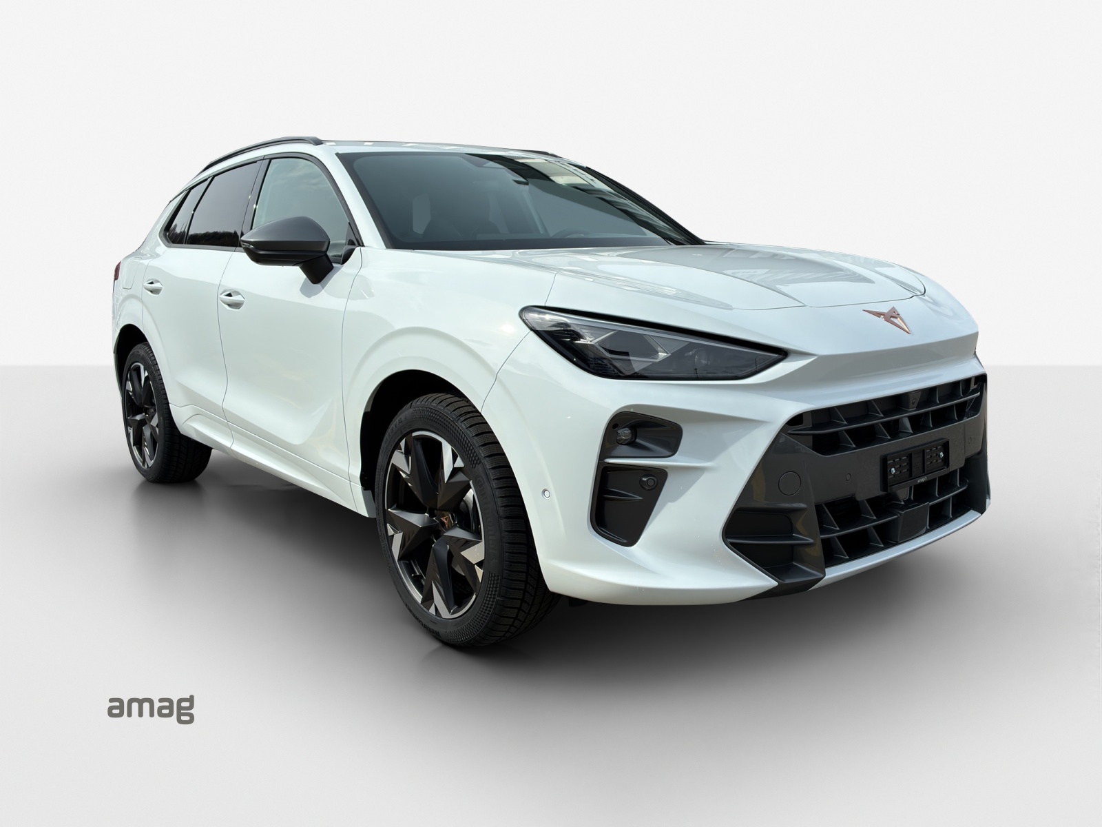 CUPRA Terramar 2.0 TSI DSG Prime Edition VZ 4Drive-image-5