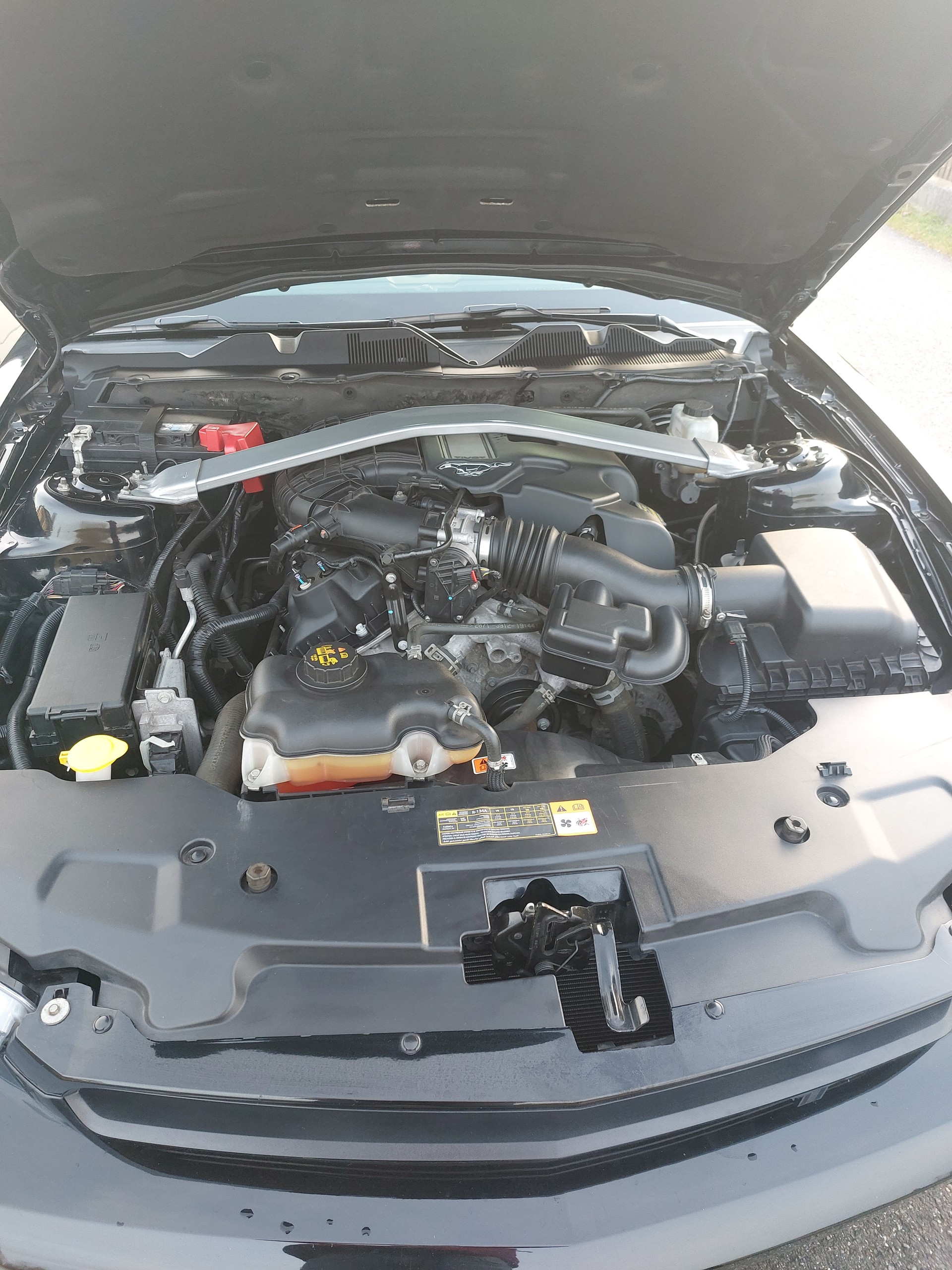 FORD 3.7 V6 / Manual / Frisch ab MFK-image-2