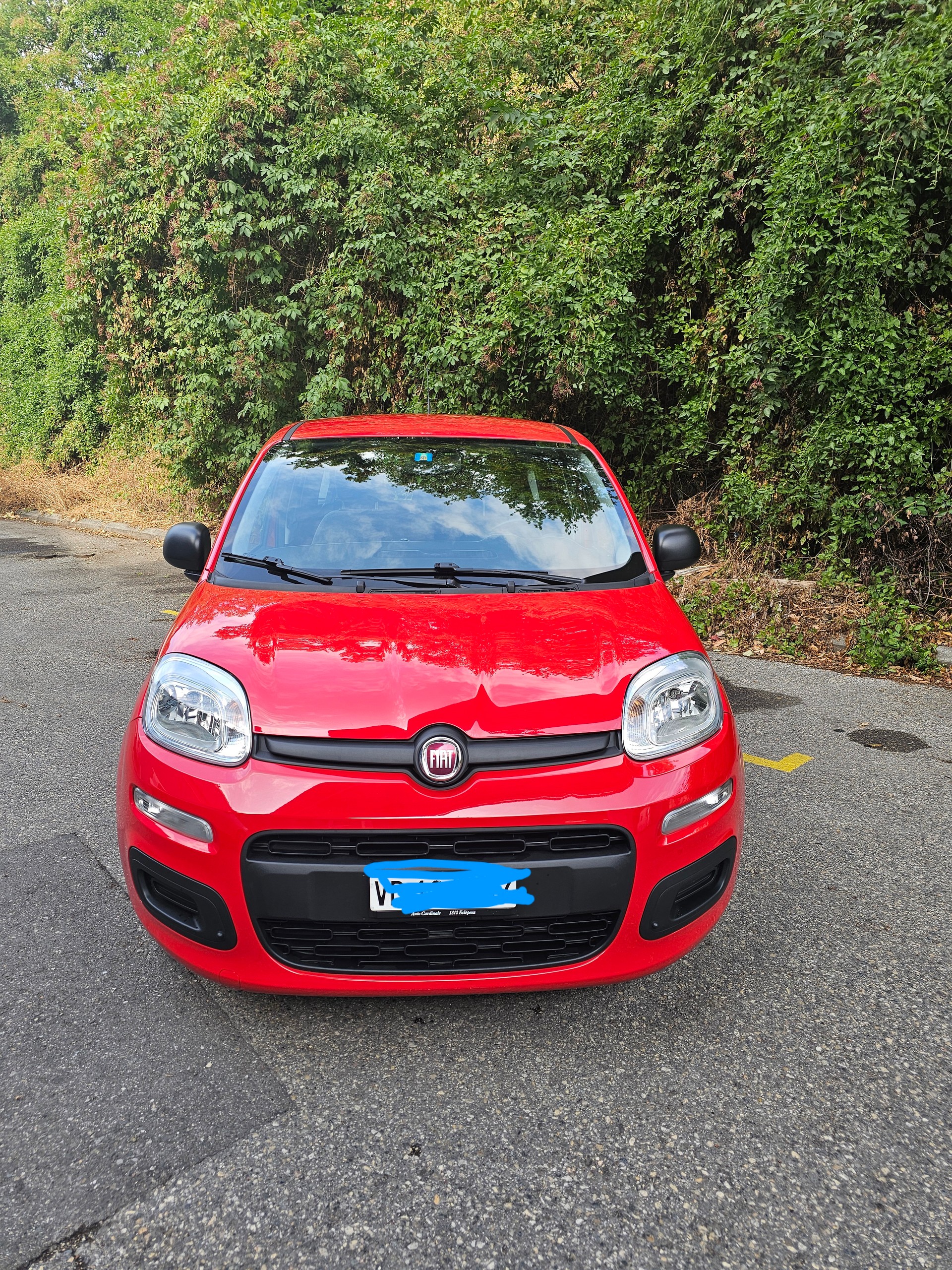 FIAT 1.0 Hybrid City Life-image-1