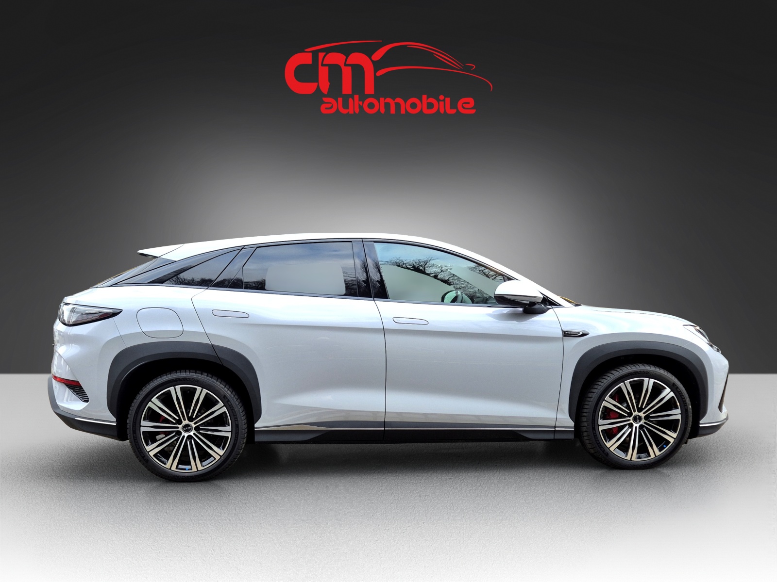 BYD Sealion 7 91,3 kWh Excellence AWD-image-4